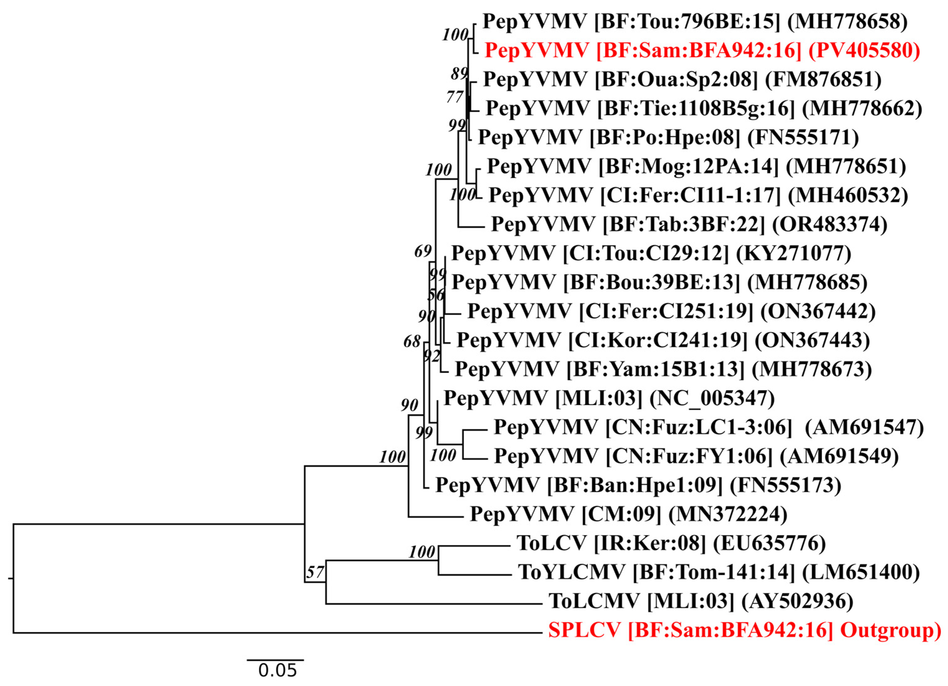 Viruses 17 01222 g004
