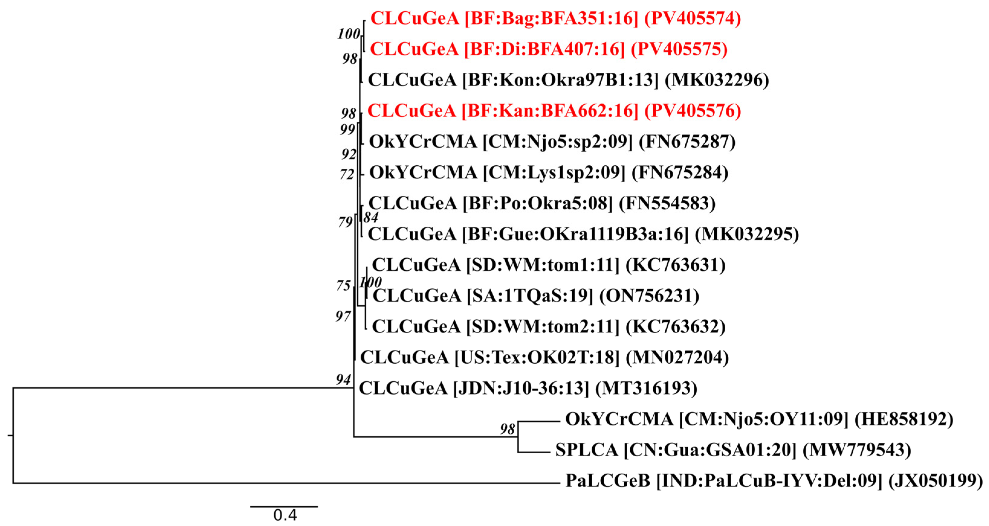 Viruses 17 01222 g005