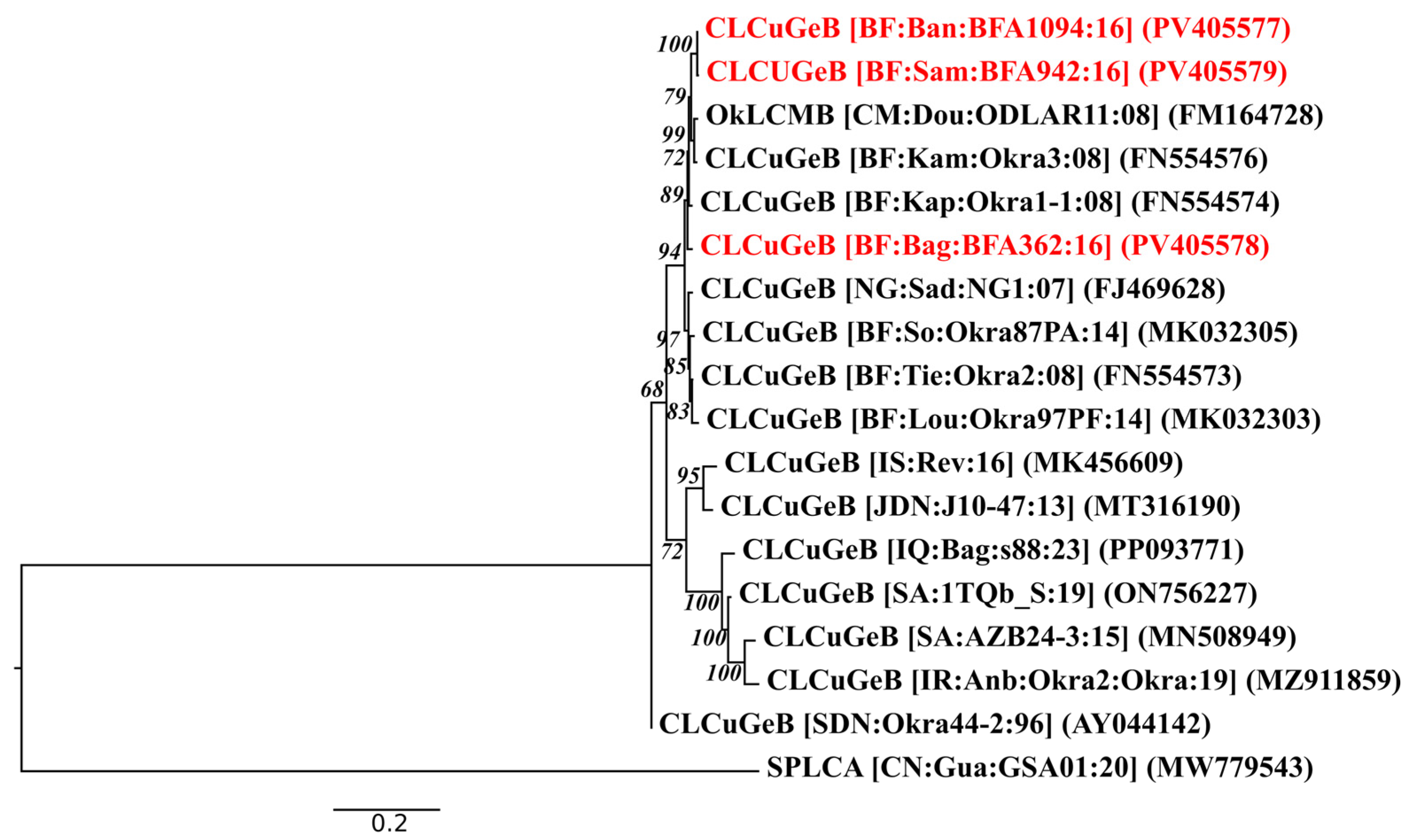 Viruses 17 01222 g006