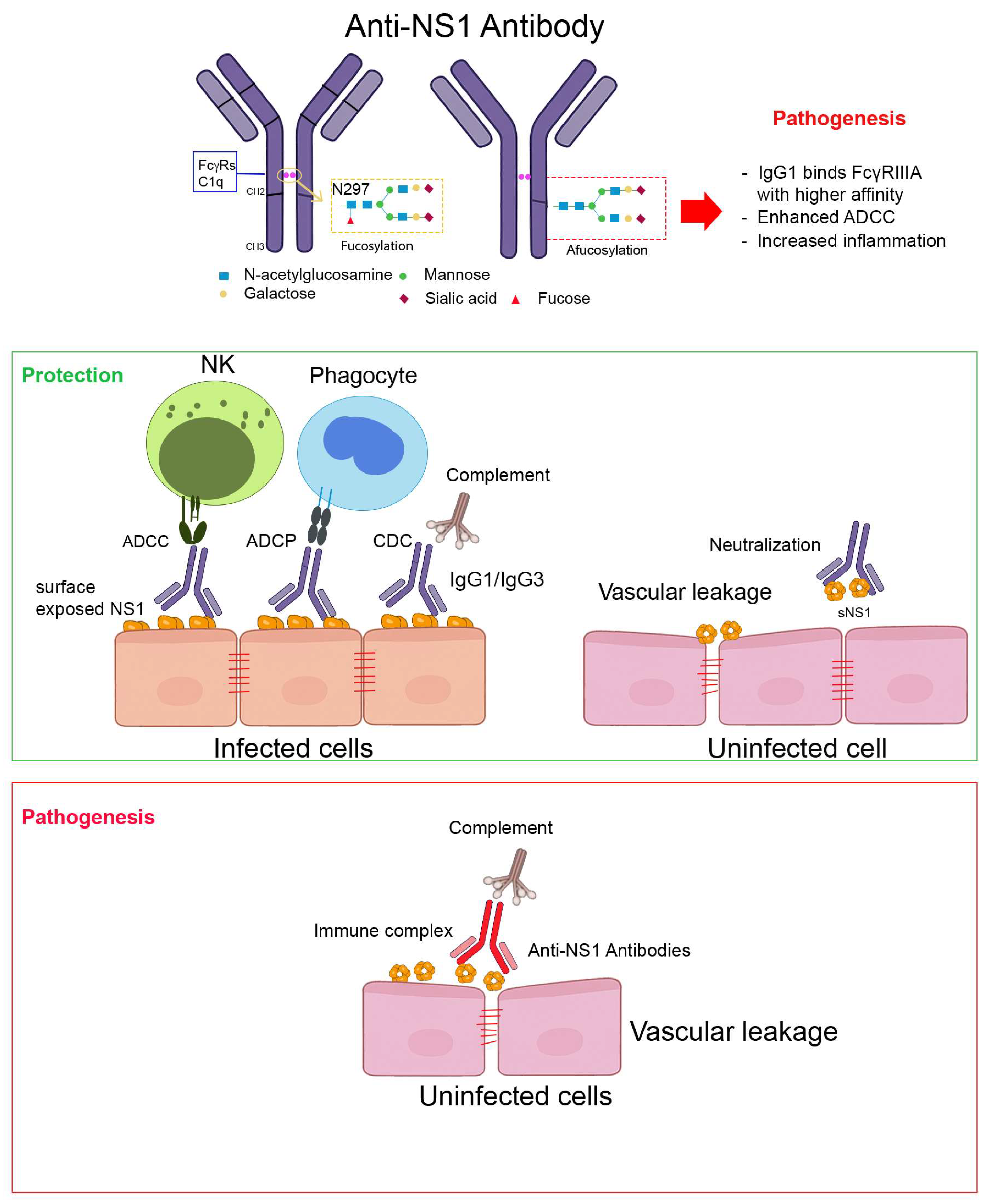 Viruses 17 01226 g001 Viruses 17 01226 g001