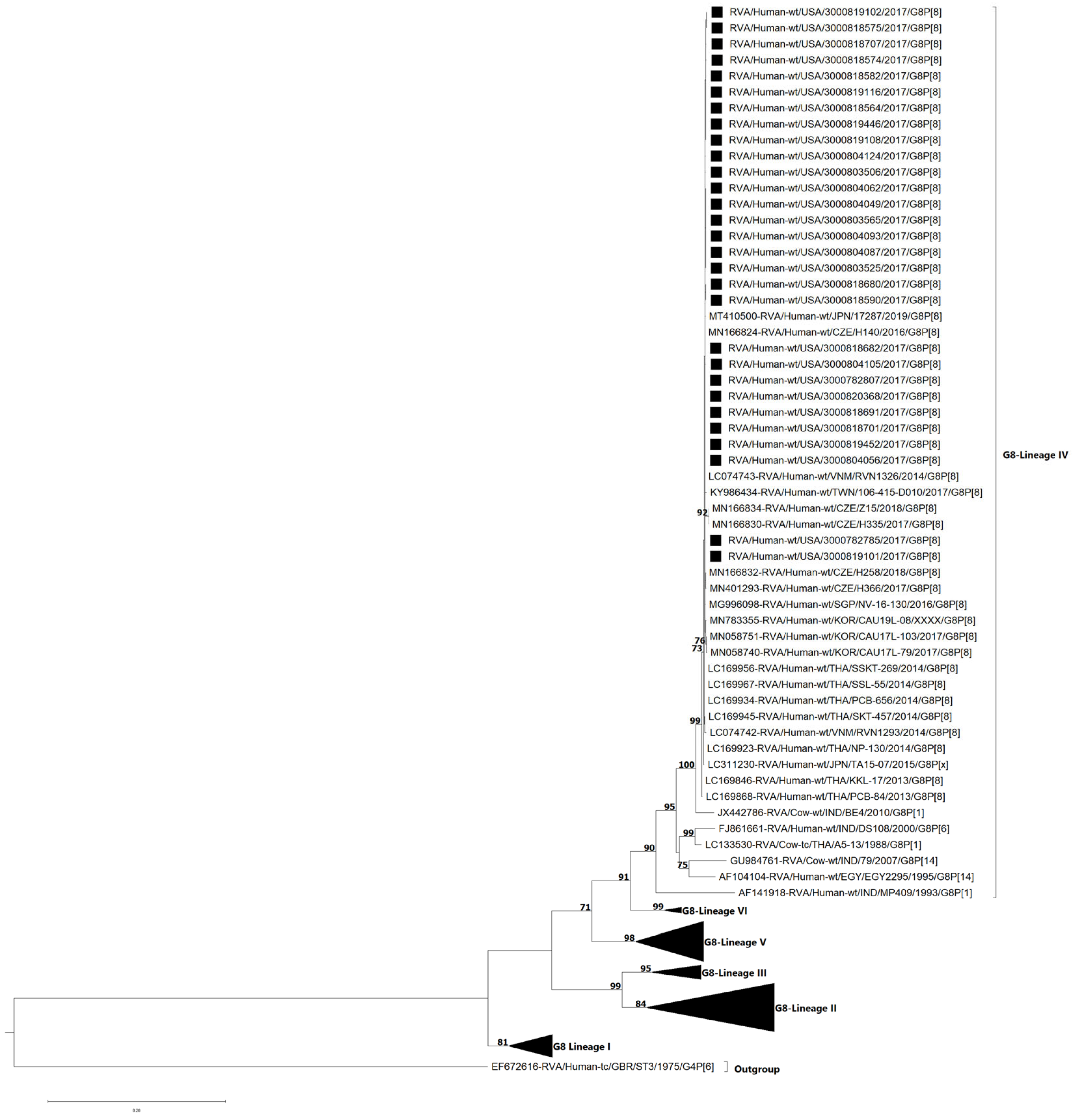 Viruses 17 01230 g003 Viruses 17 01230 g003