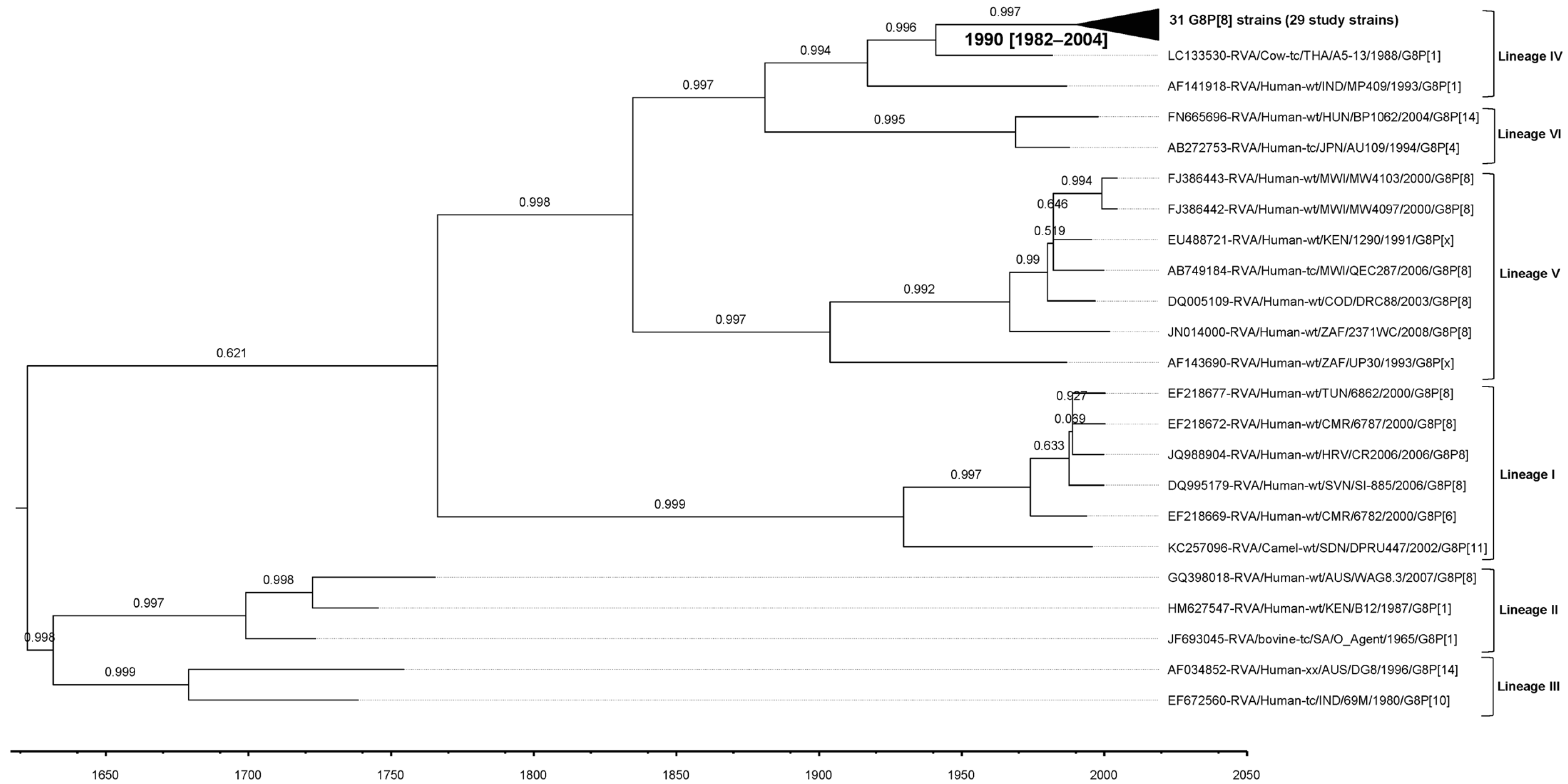 Viruses 17 01230 g007 Viruses 17 01230 g007