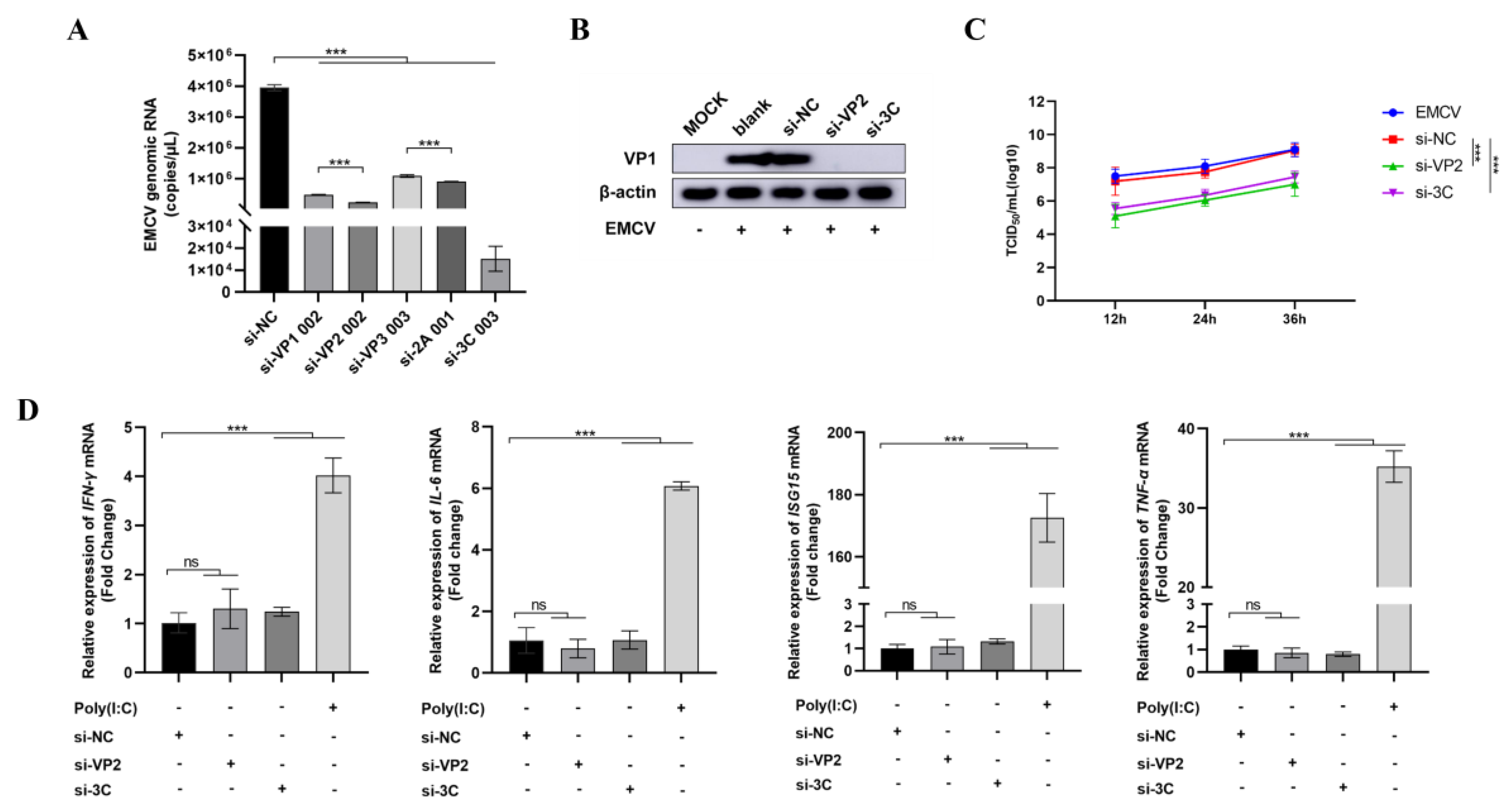 Viruses 17 01240 g003