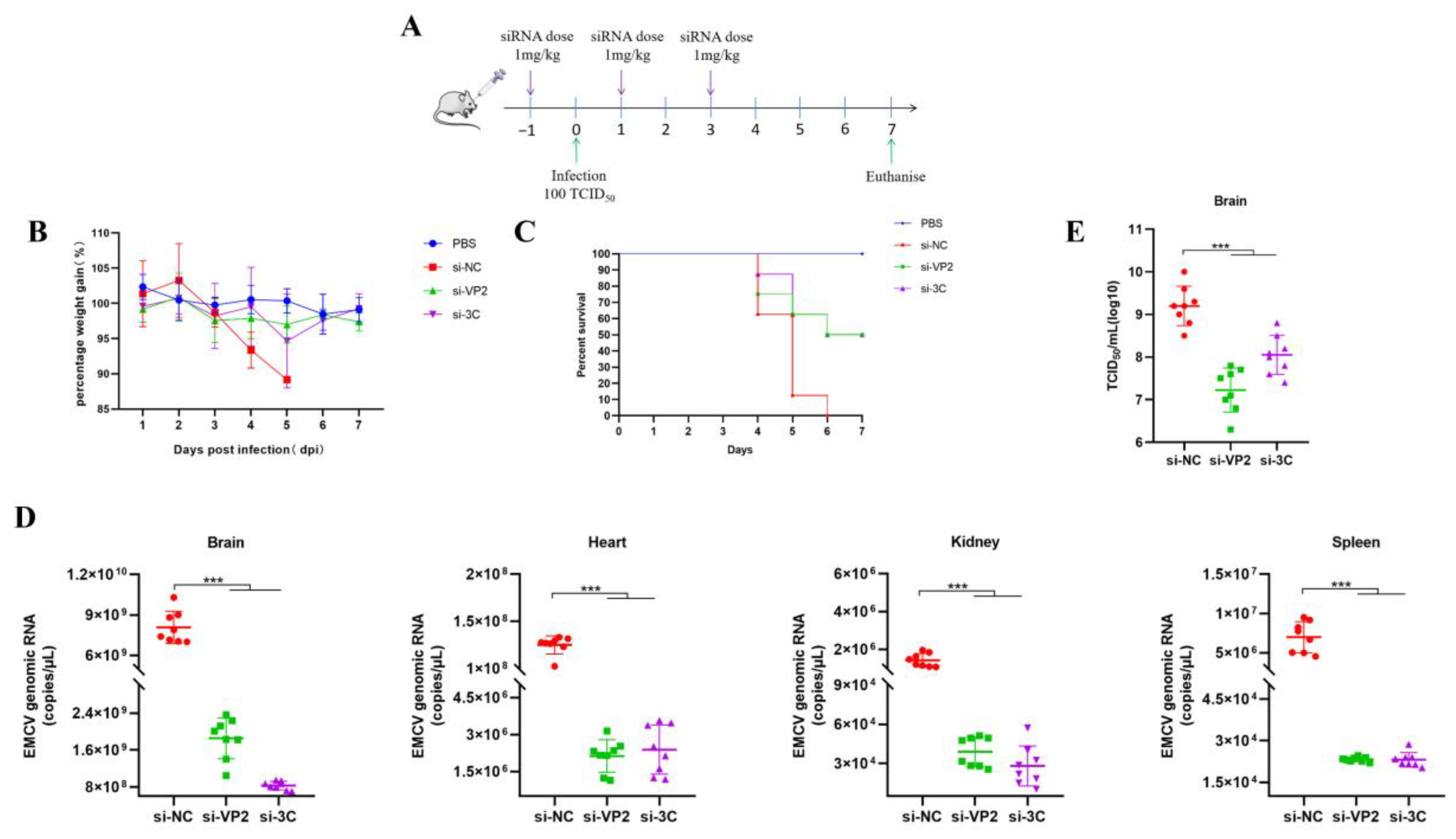 Viruses 17 01240 g004