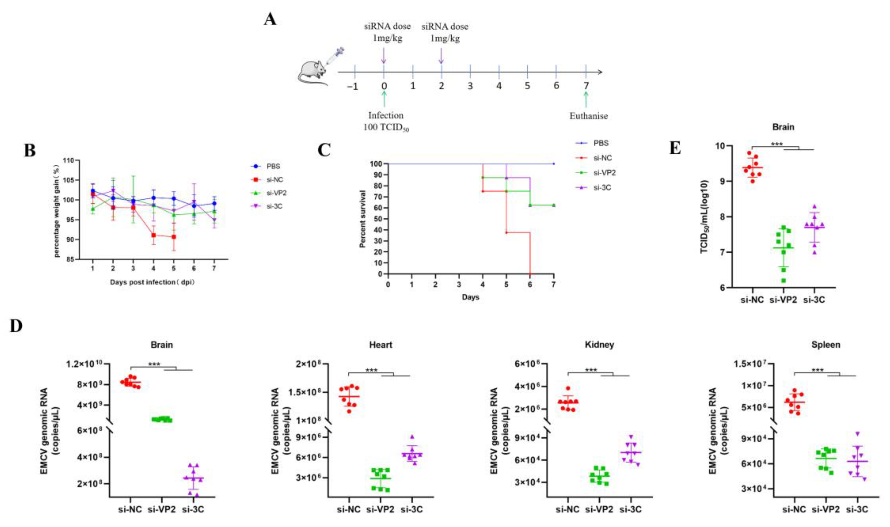 Viruses 17 01240 g005