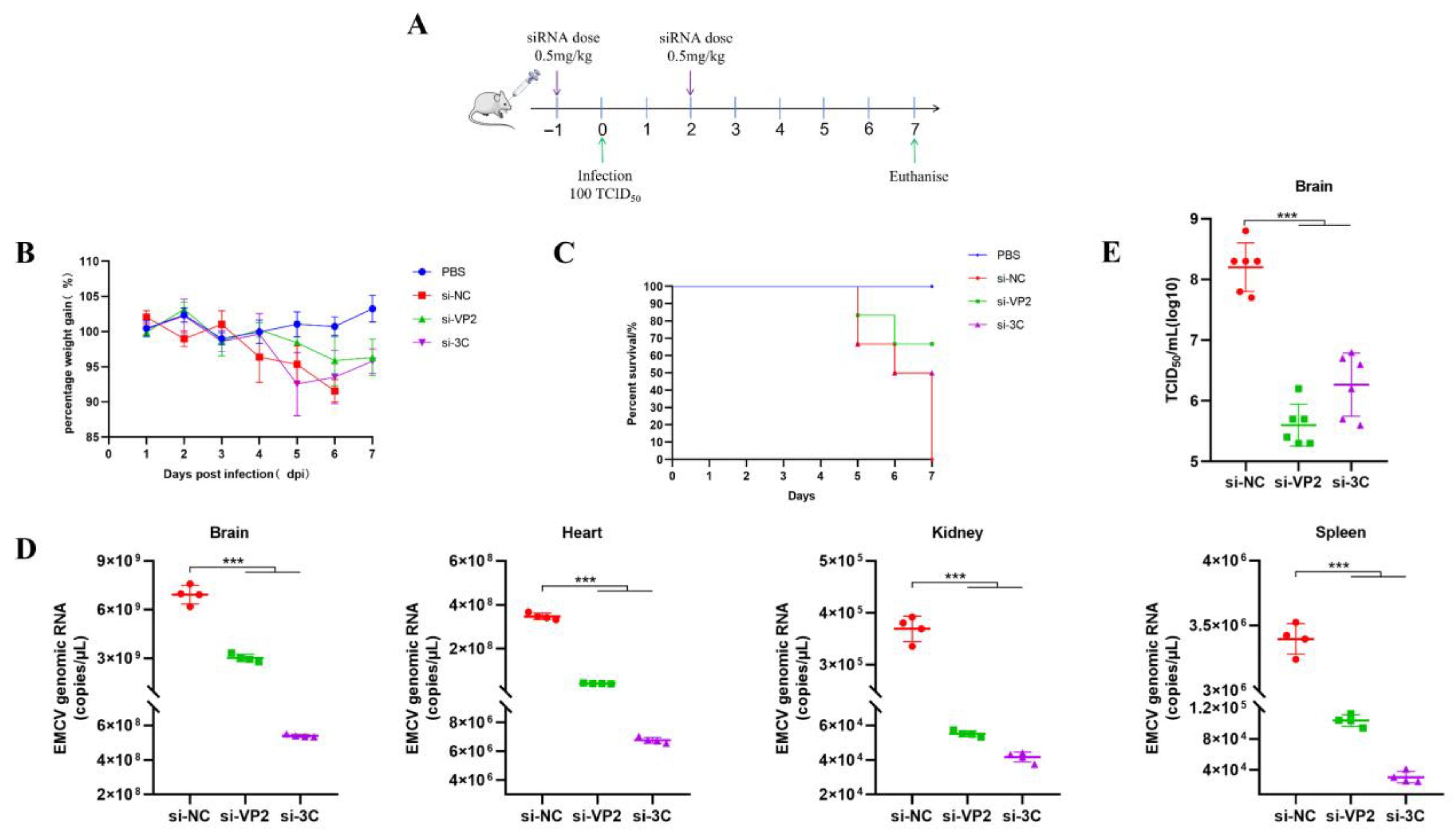 Viruses 17 01240 g007