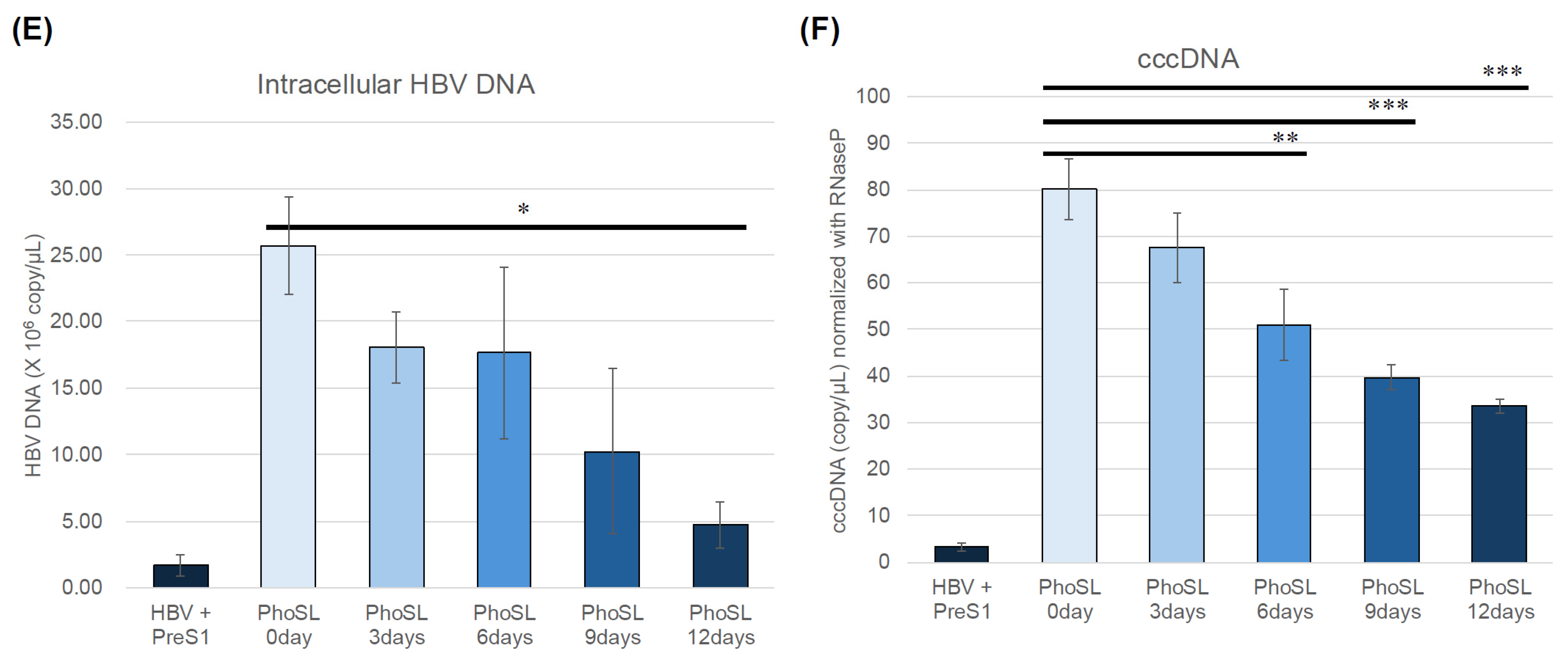 Viruses 17 01242 g002b Viruses 17 01242 g002b