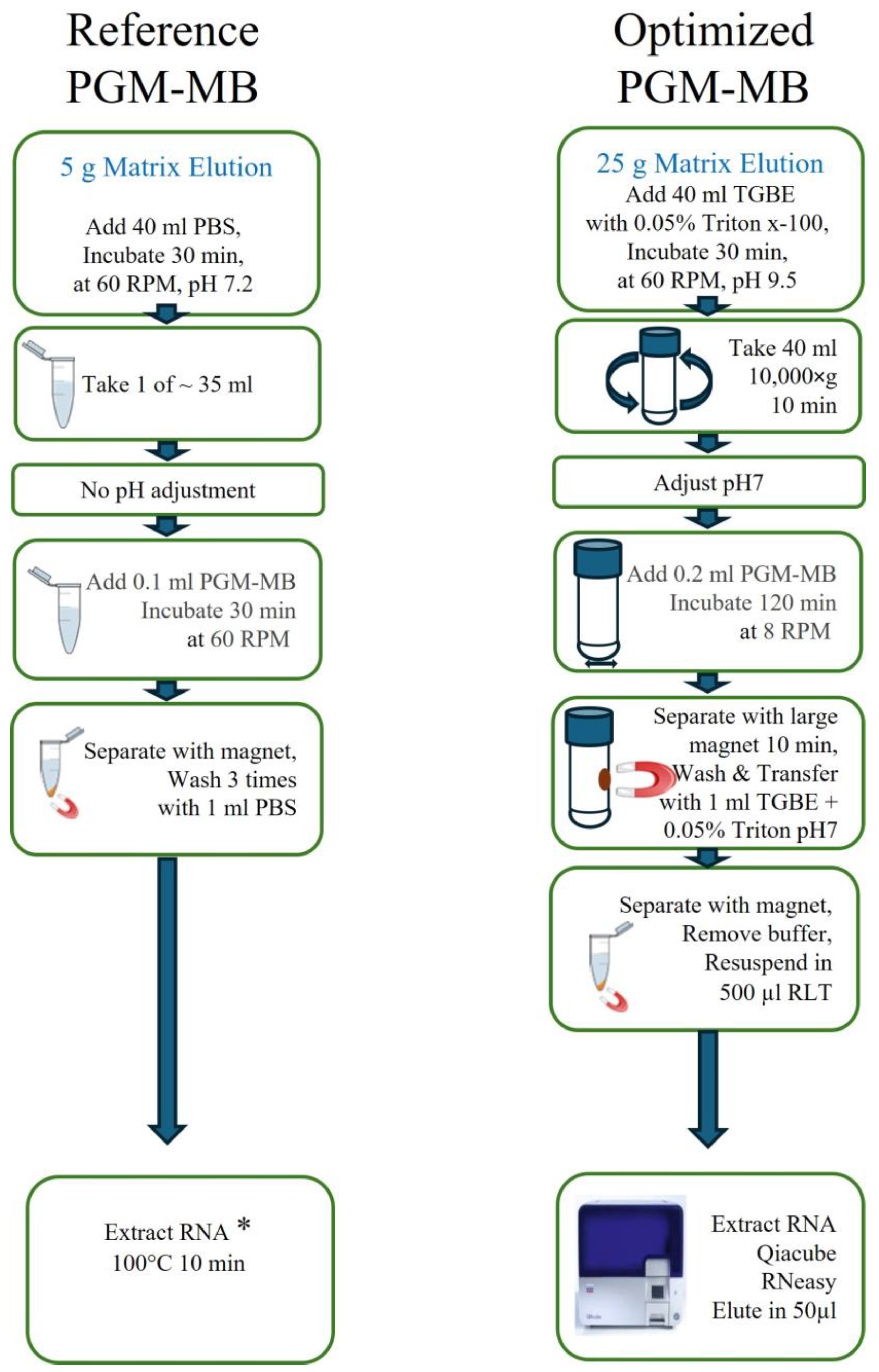 Viruses 17 01245 g001 Viruses 17 01245 g001
