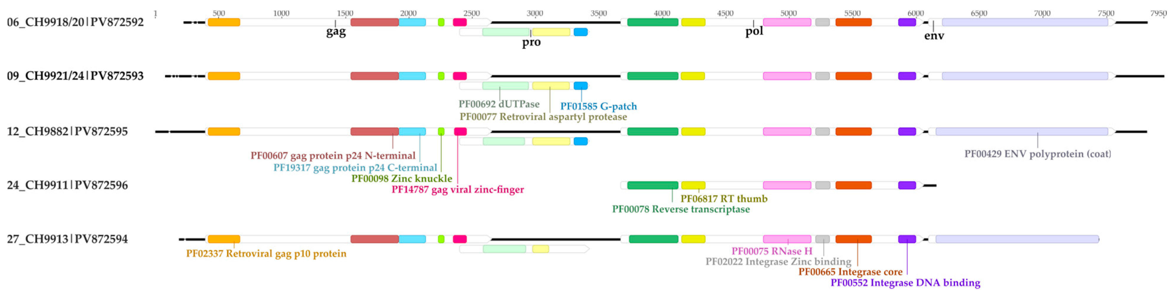 Viruses 17 01251 g004 Viruses 17 01251 g004