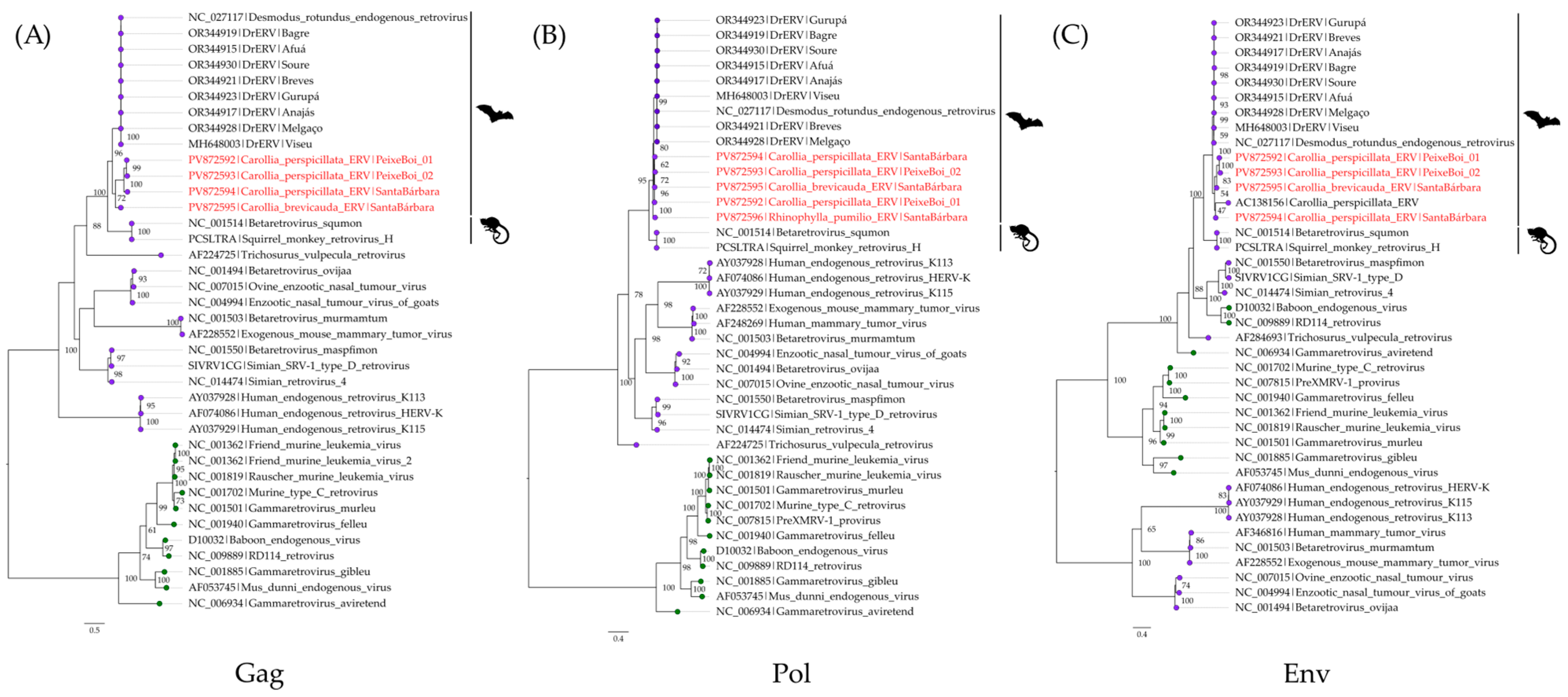 Viruses 17 01251 g005 Viruses 17 01251 g005