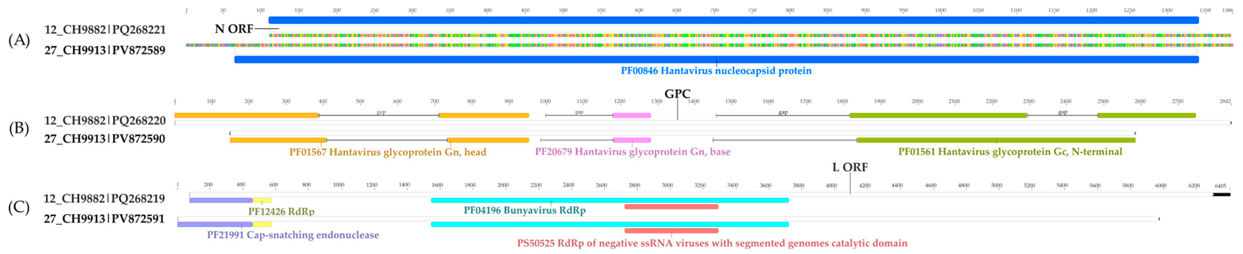 Viruses 17 01251 g006 Viruses 17 01251 g006