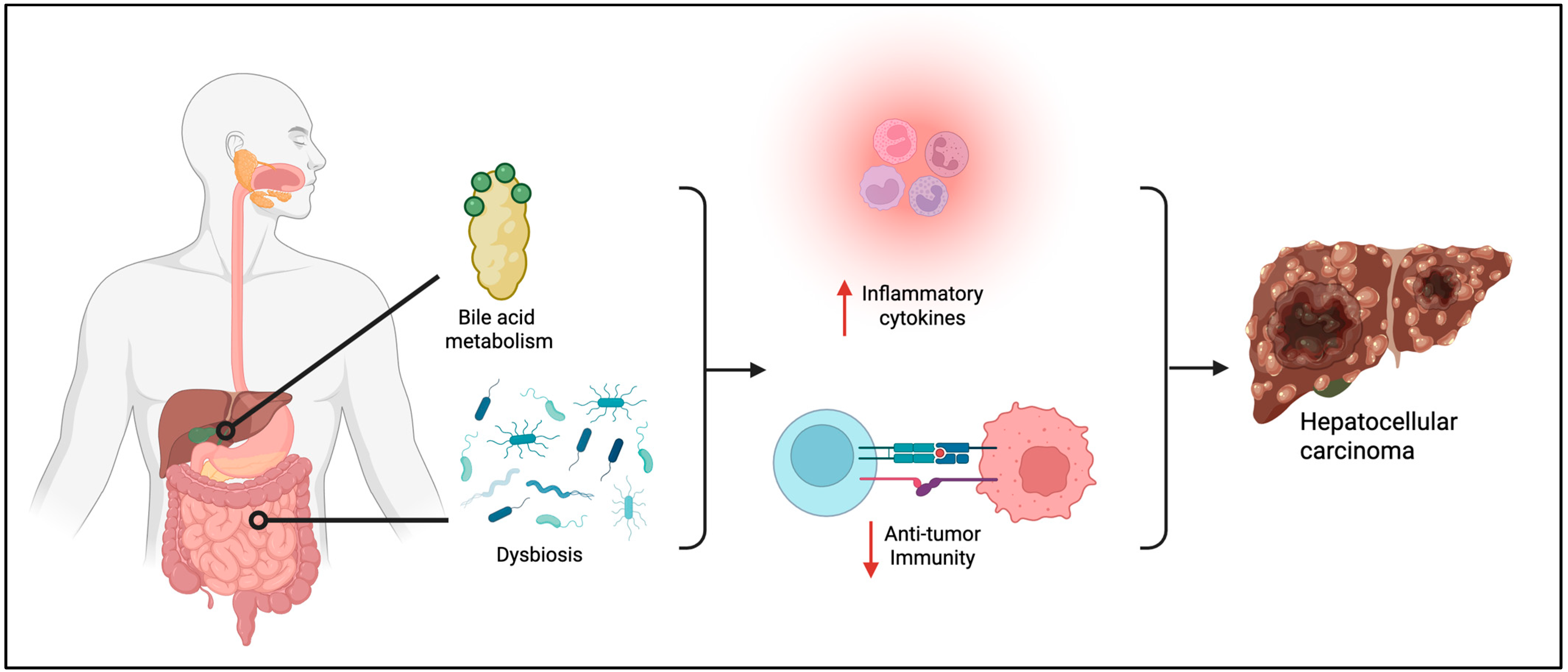 Viruses 17 01255 g002