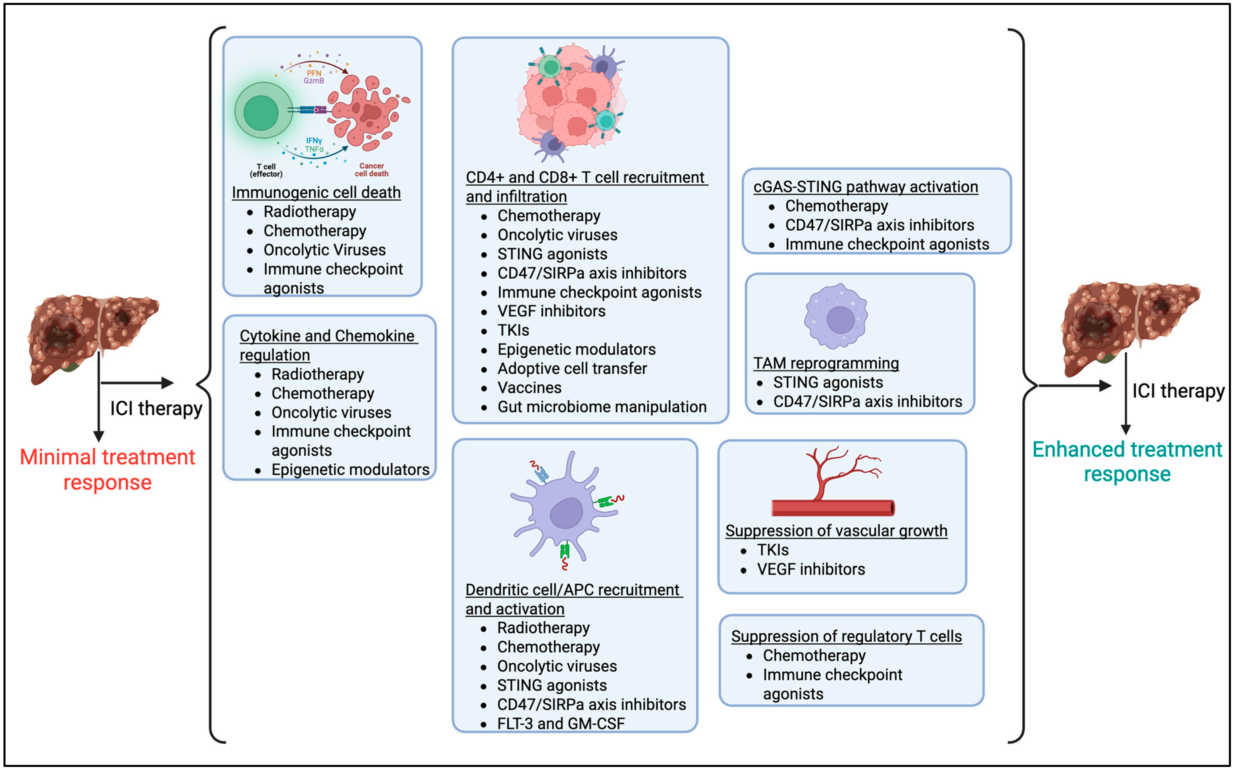 Viruses 17 01255 g004