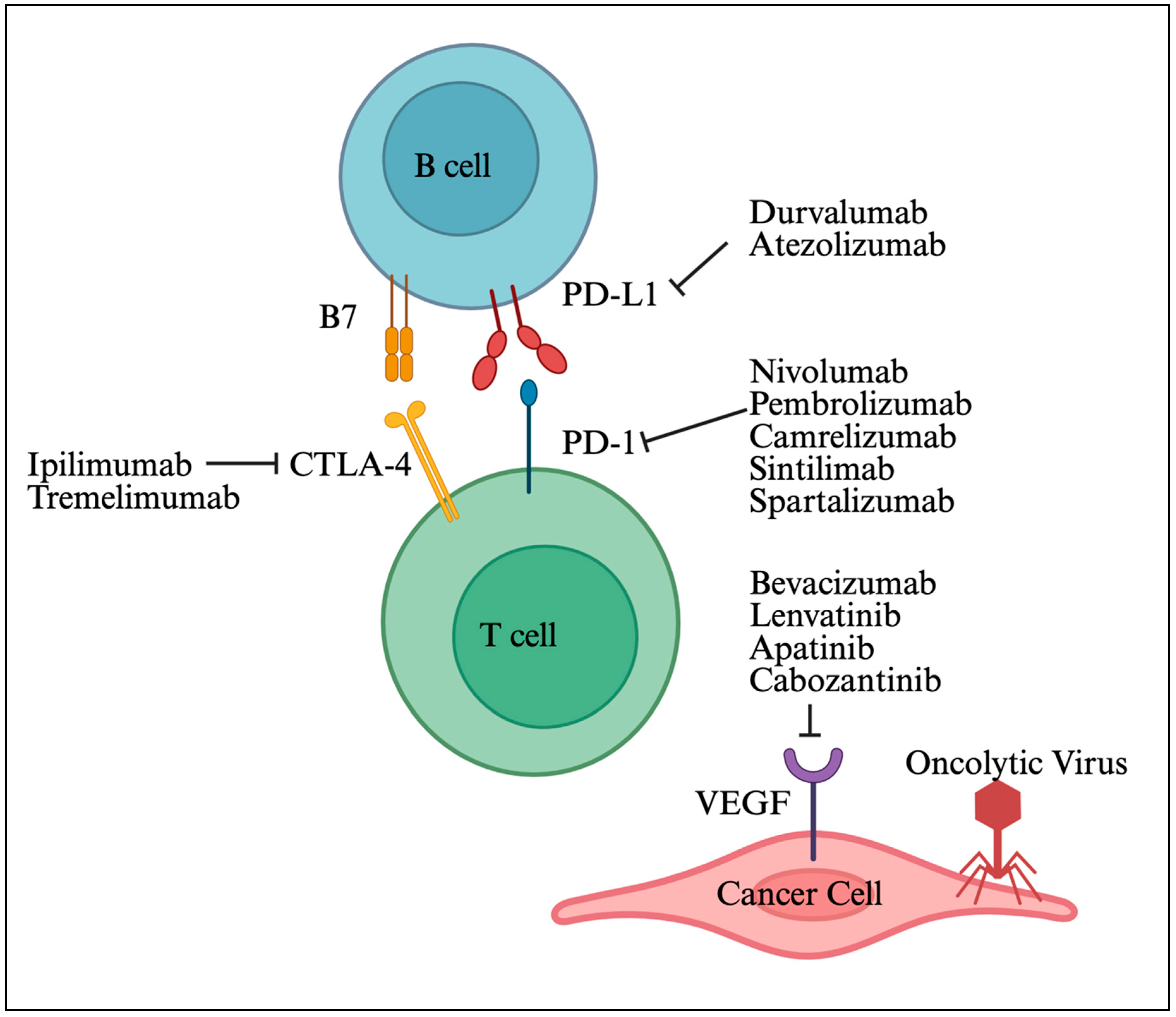 Viruses 17 01255 g005