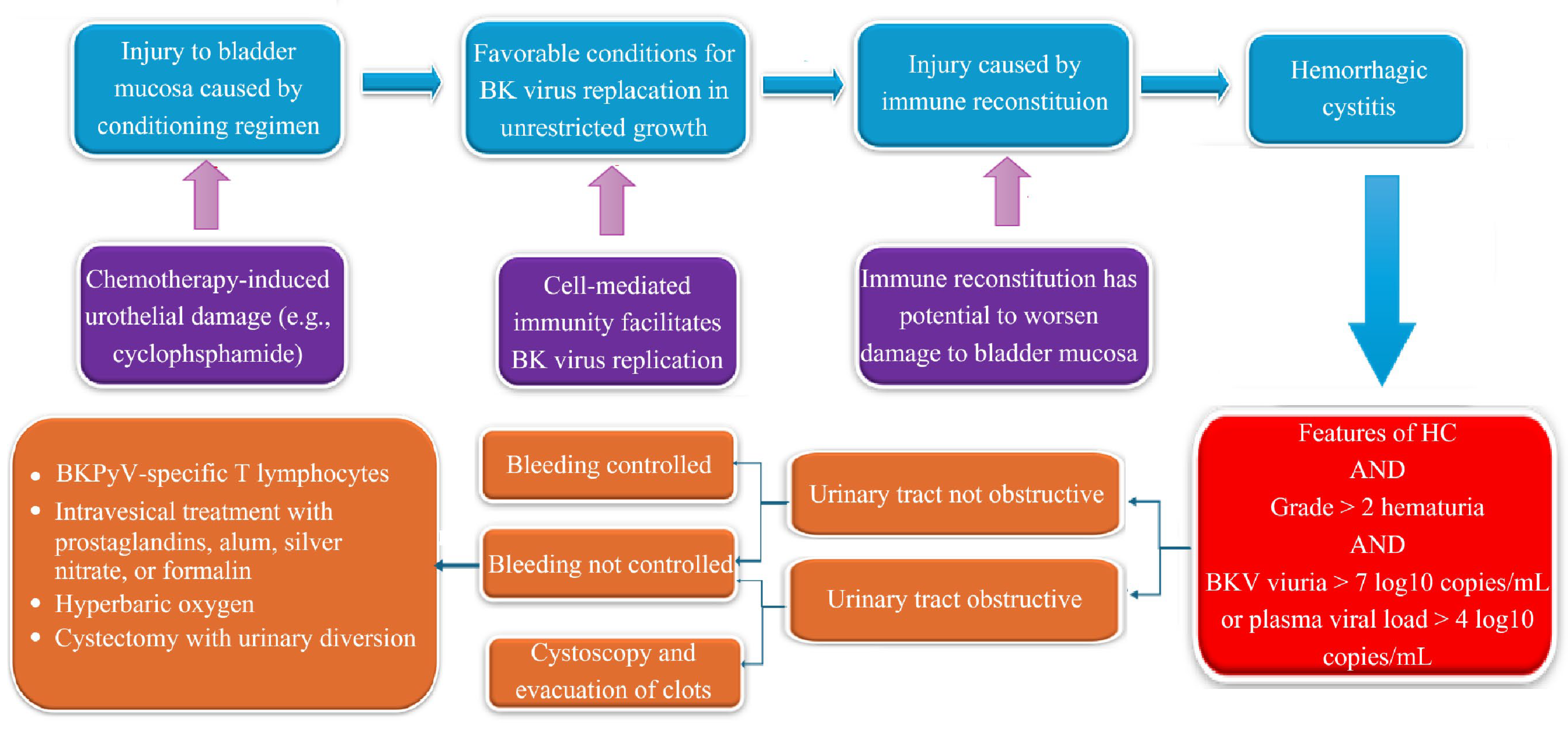 Viruses 17 01256 g001 Viruses 17 01256 g001