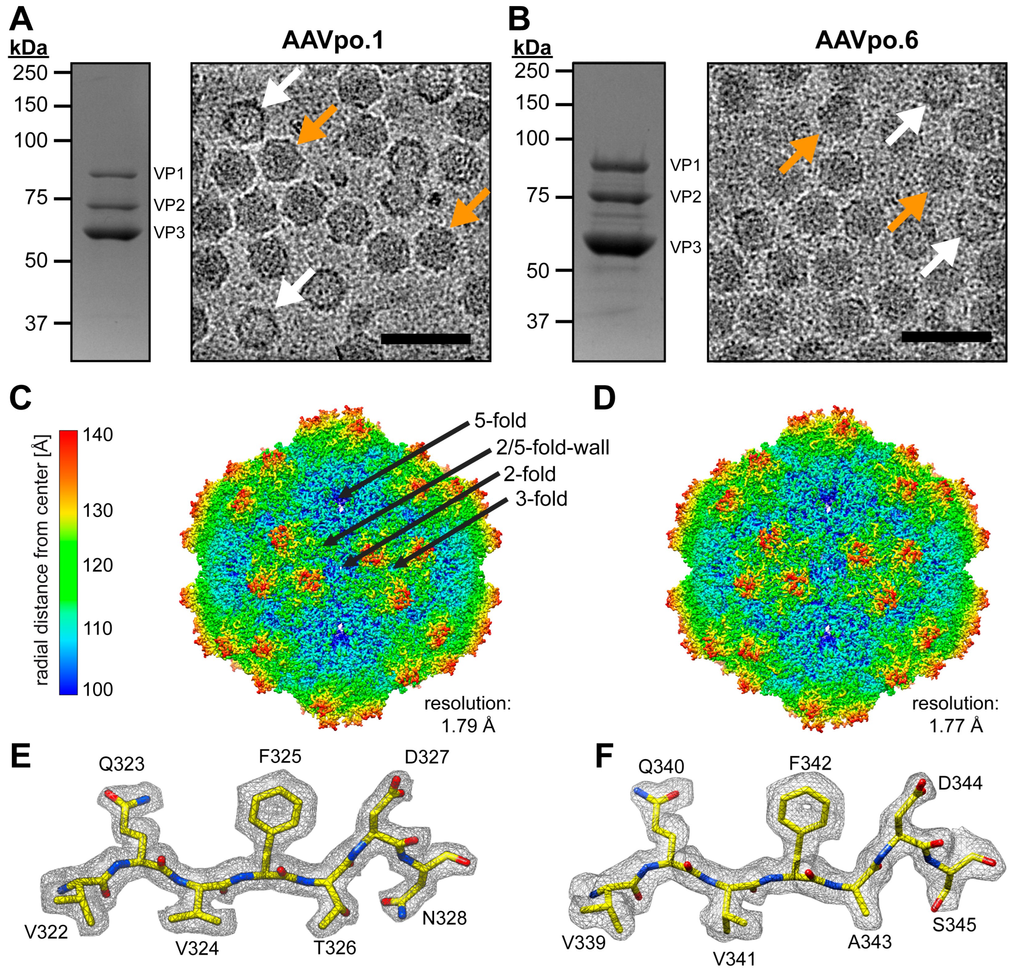 Viruses 17 01260 g001 Viruses 17 01260 g001