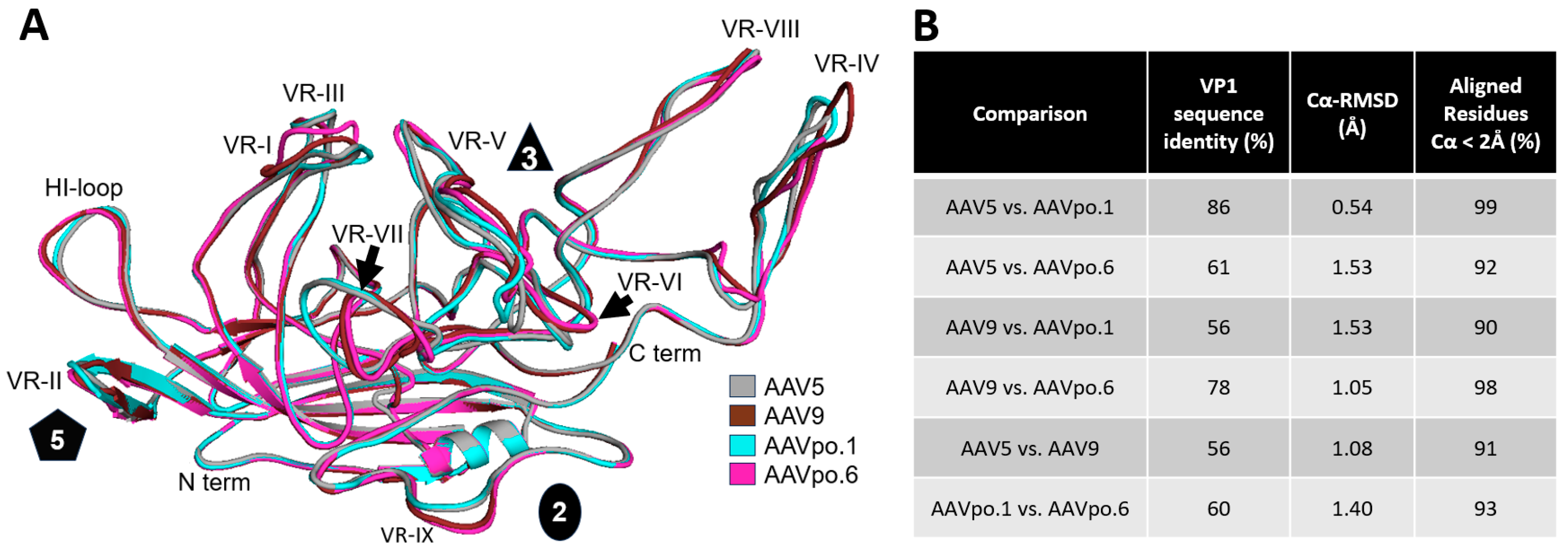 Viruses 17 01260 g002 Viruses 17 01260 g002