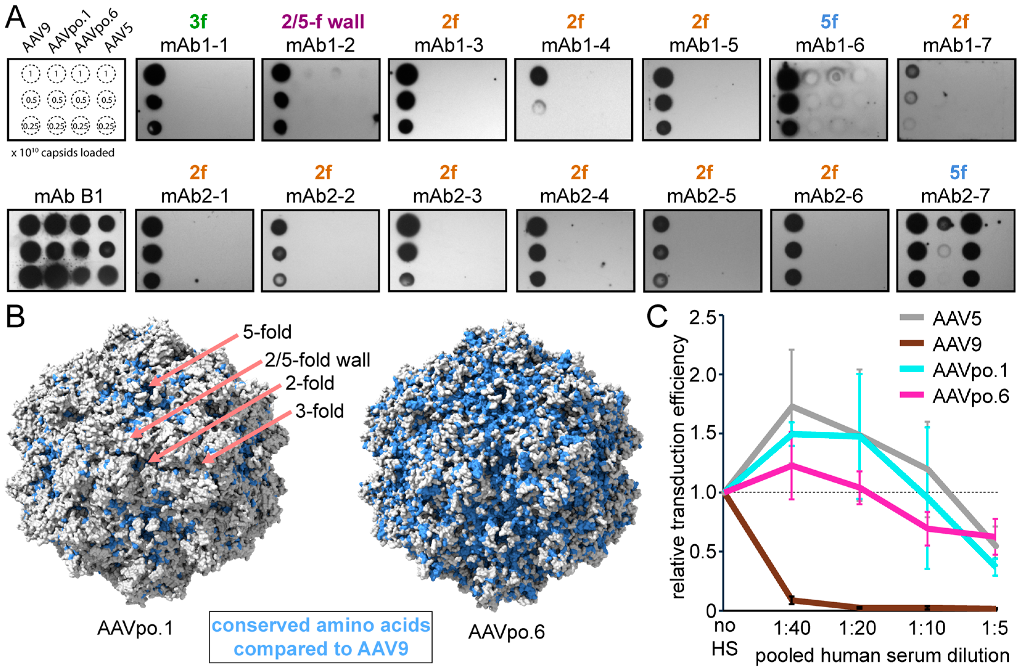 Viruses 17 01260 g004 Viruses 17 01260 g004