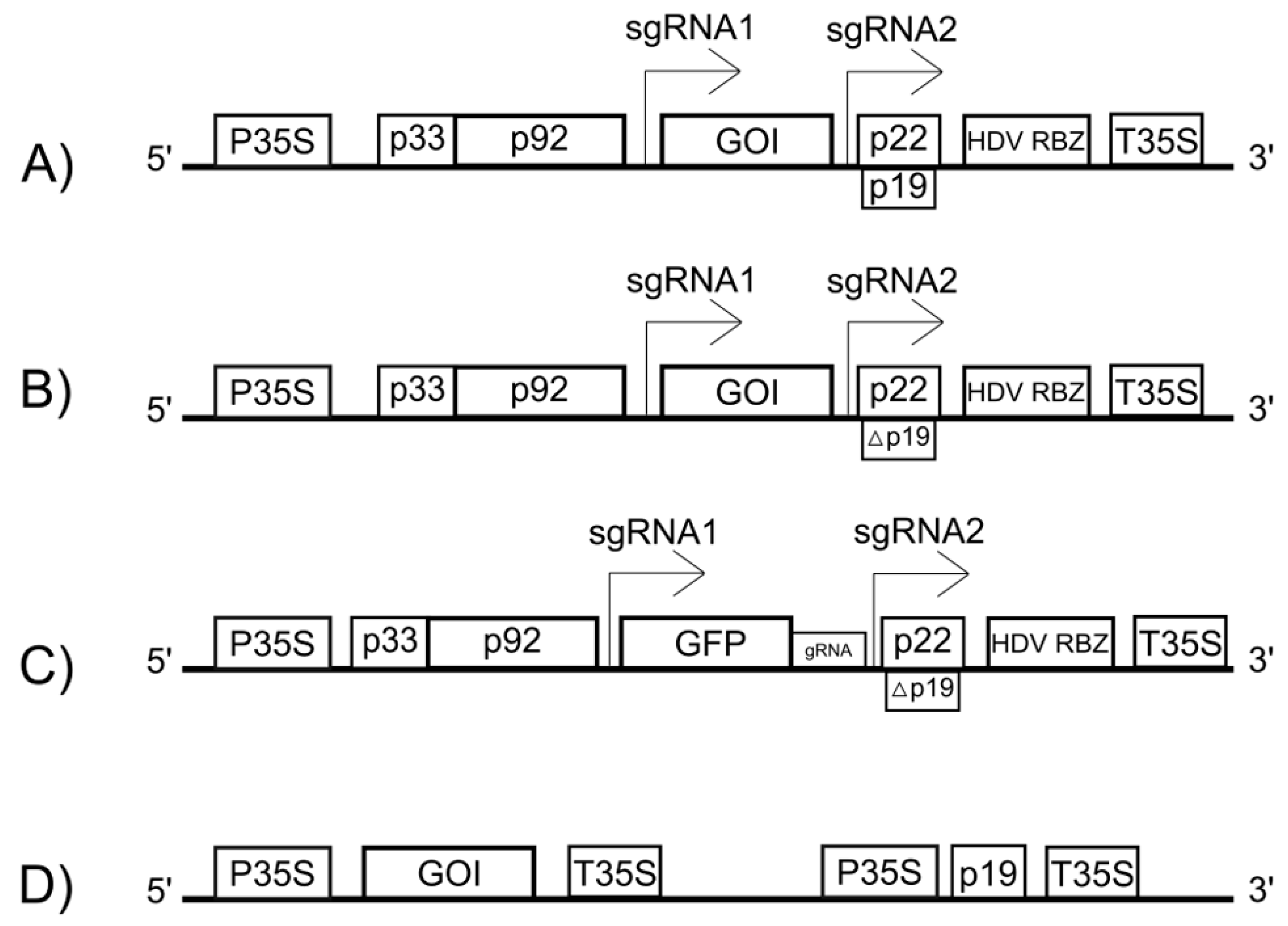 Viruses 17 01268 g002