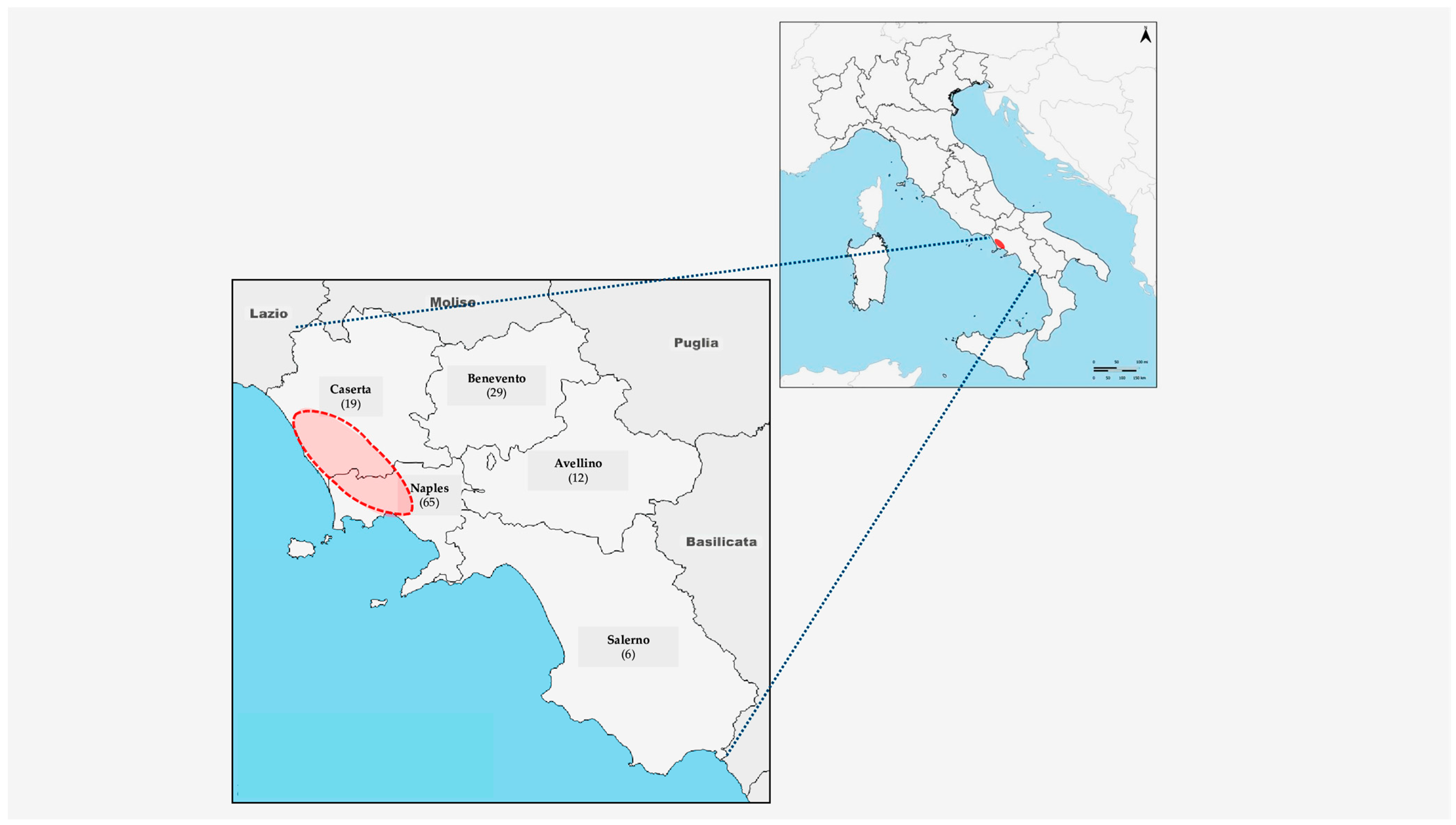 Viruses 17 01271 g001 Viruses 17 01271 g001