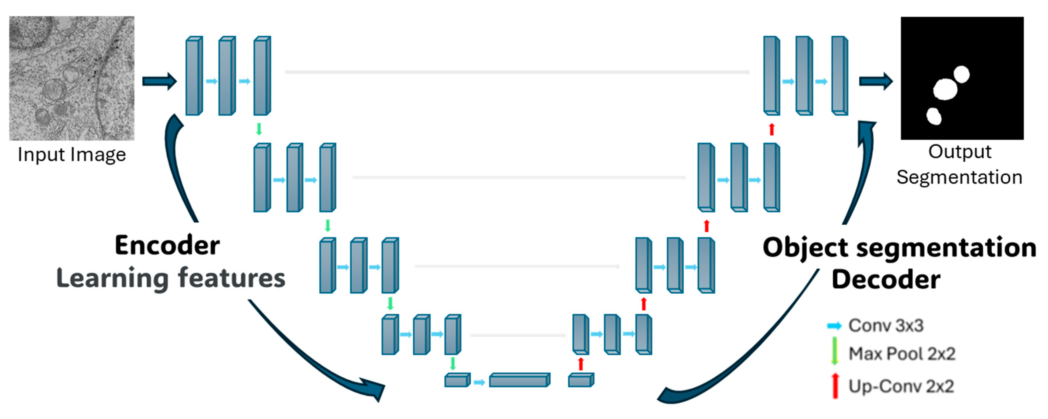Viruses 17 01272 g002
