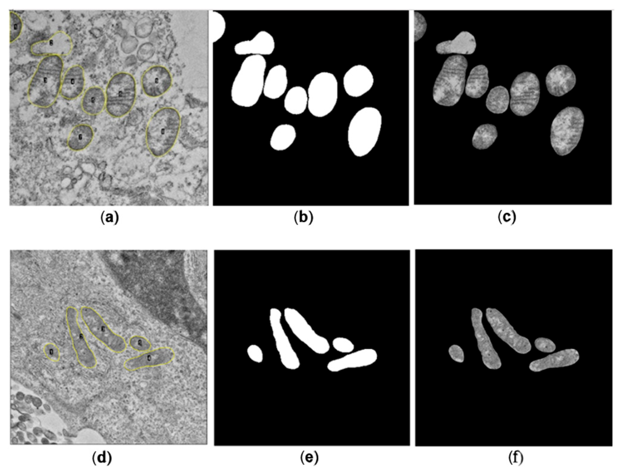 Viruses 17 01272 g003