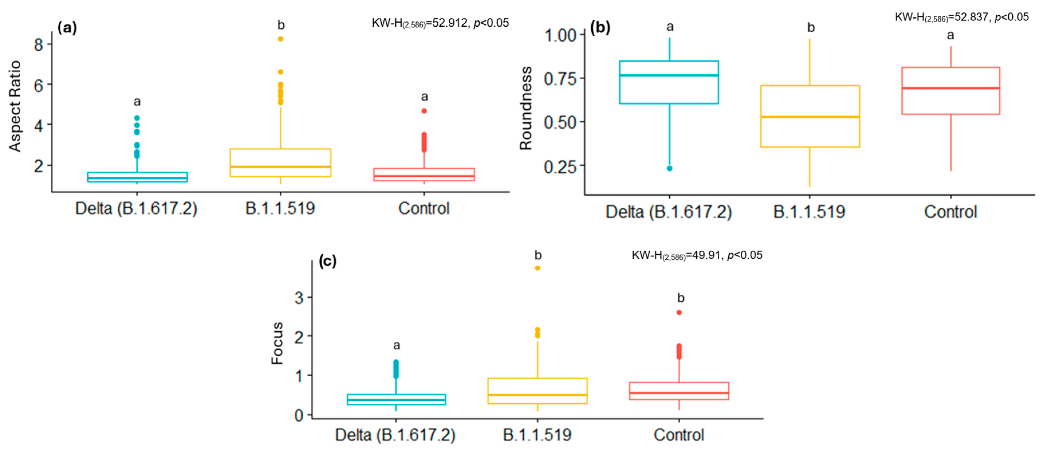 Viruses 17 01272 g004