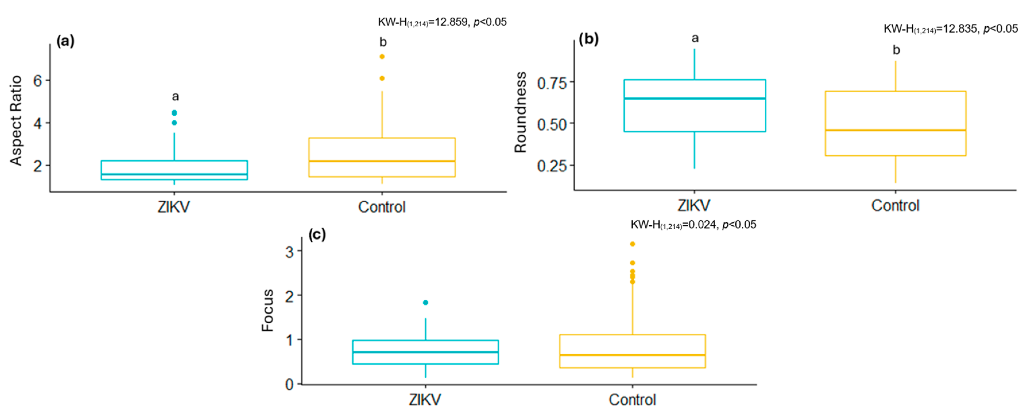 Viruses 17 01272 g005