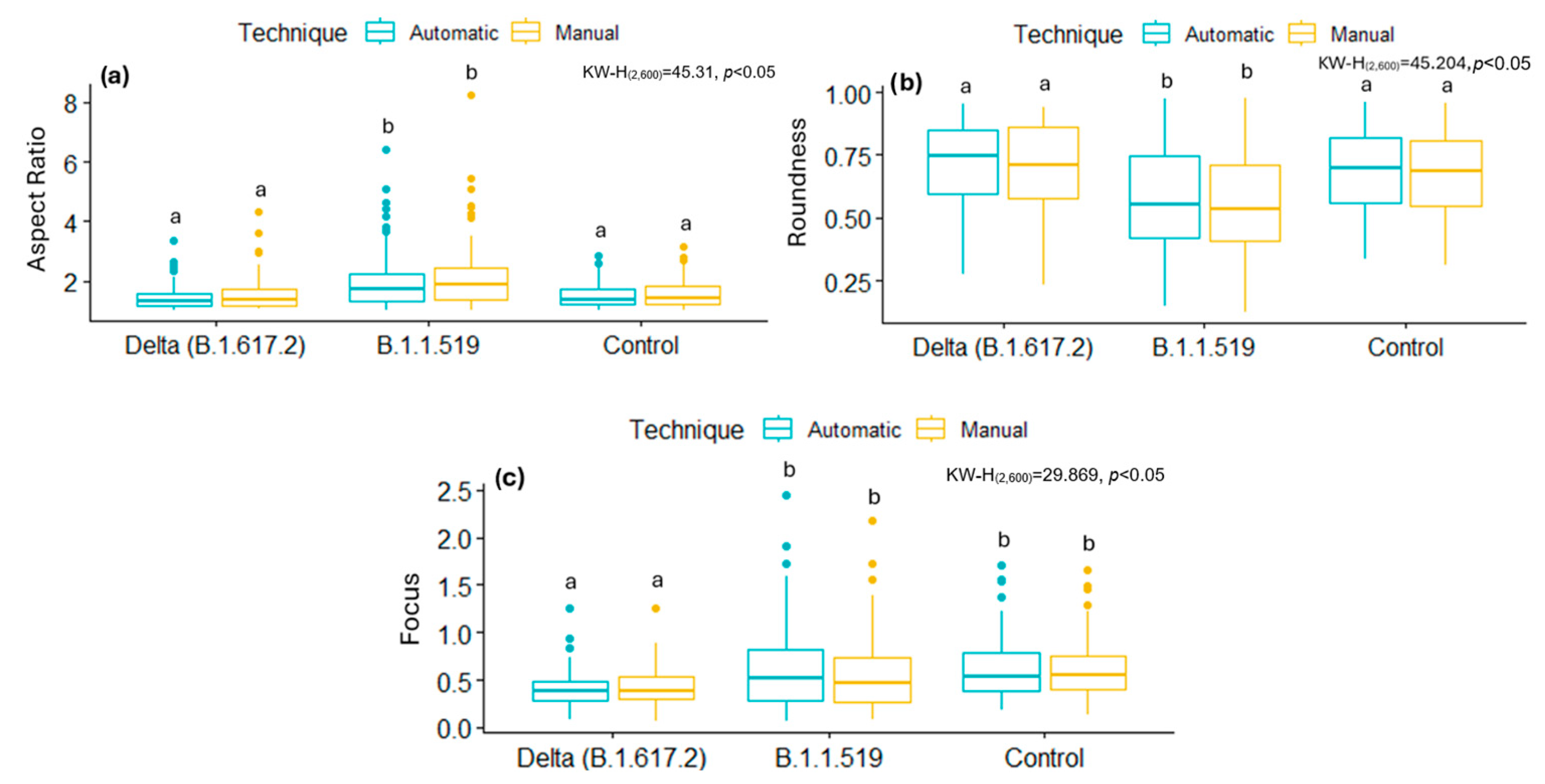 Viruses 17 01272 g008