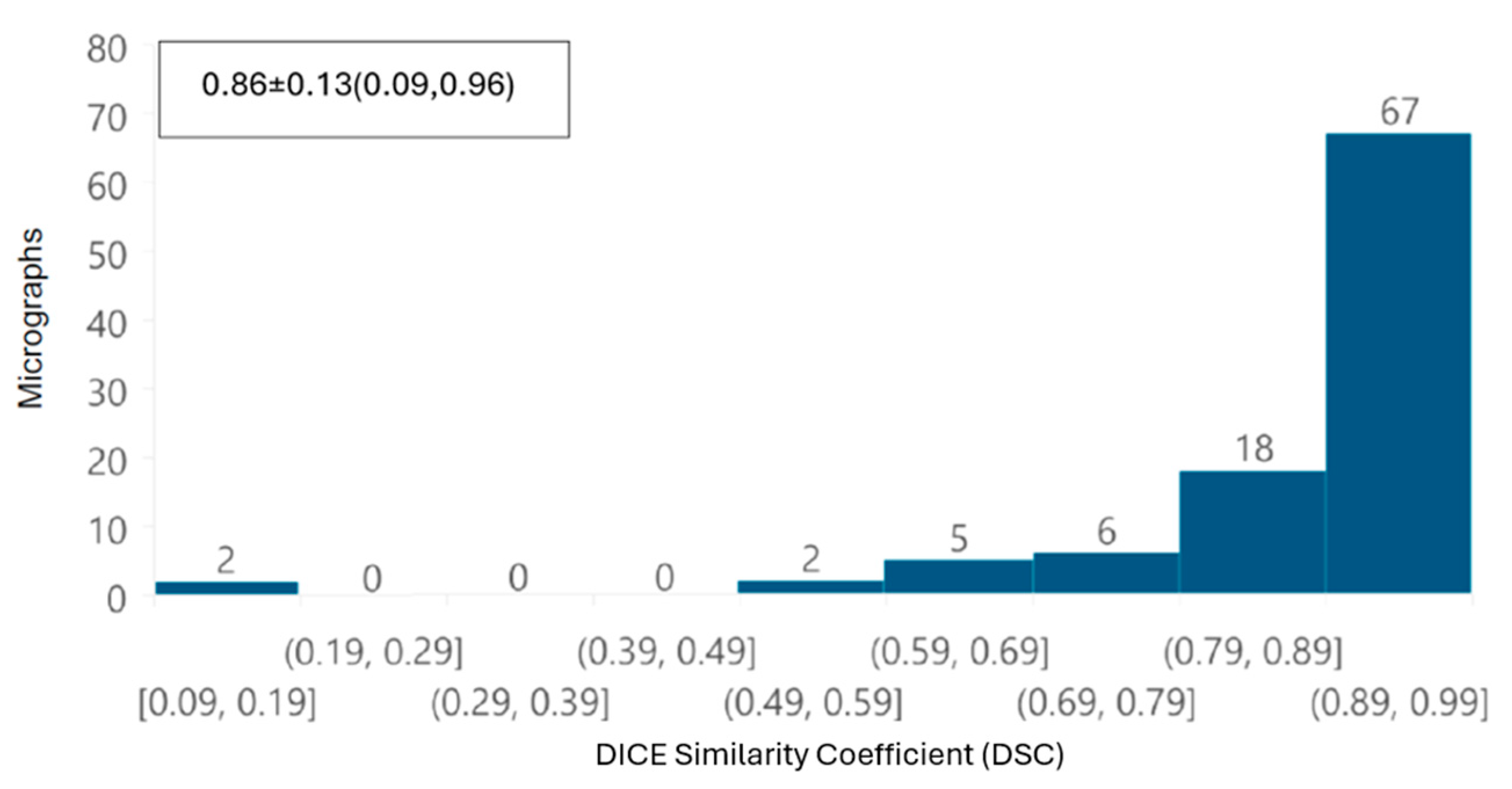 Viruses 17 01272 g012