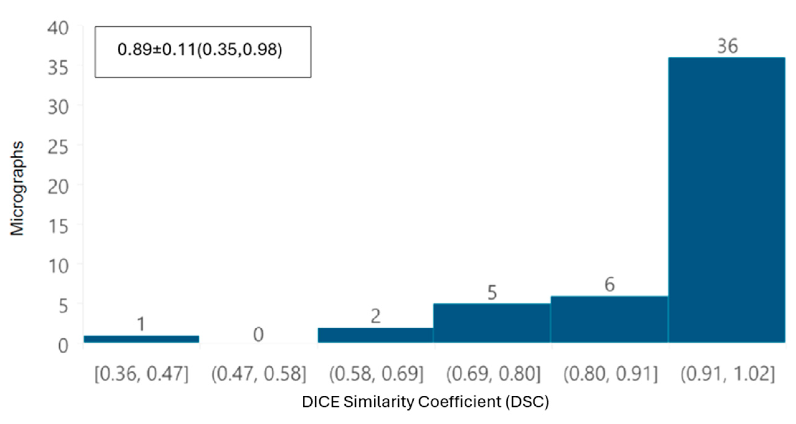 Viruses 17 01272 g013