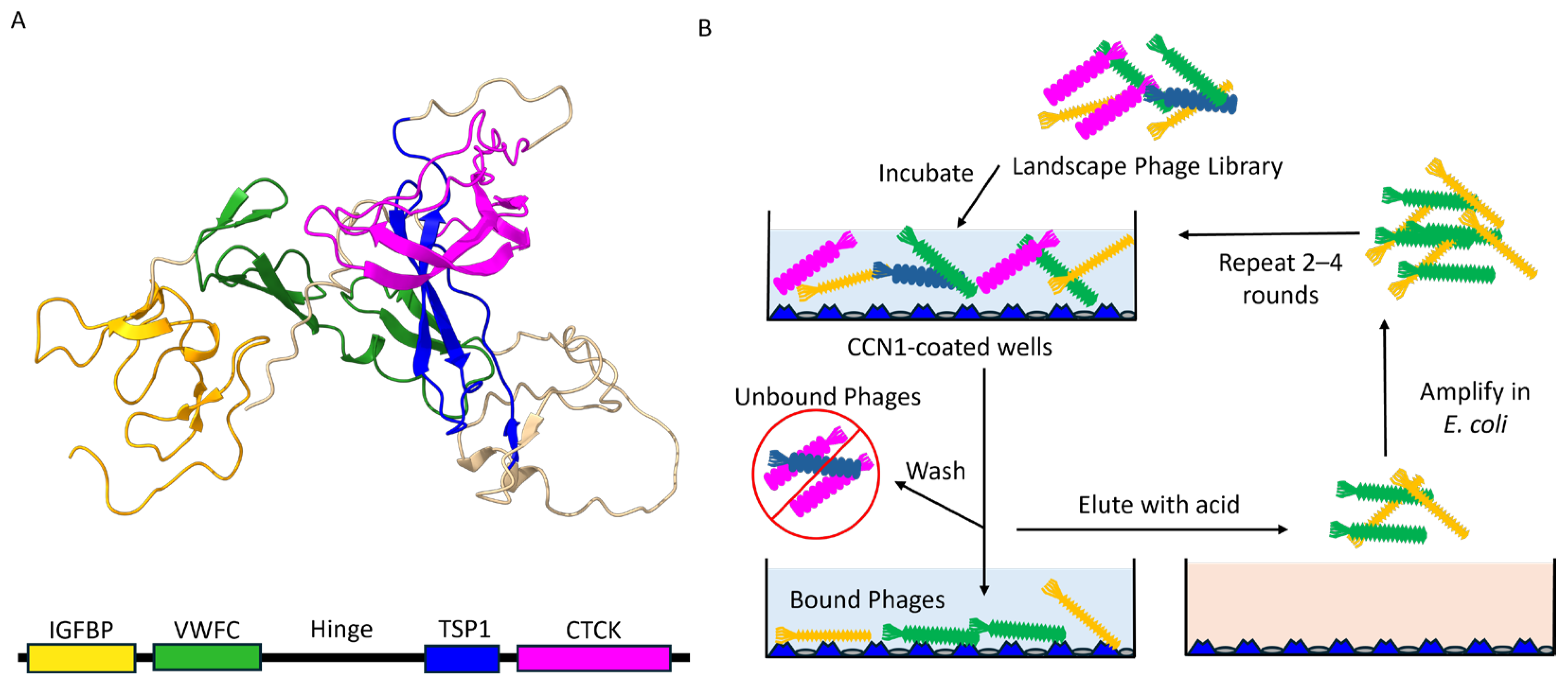 Viruses 17 01273 g001