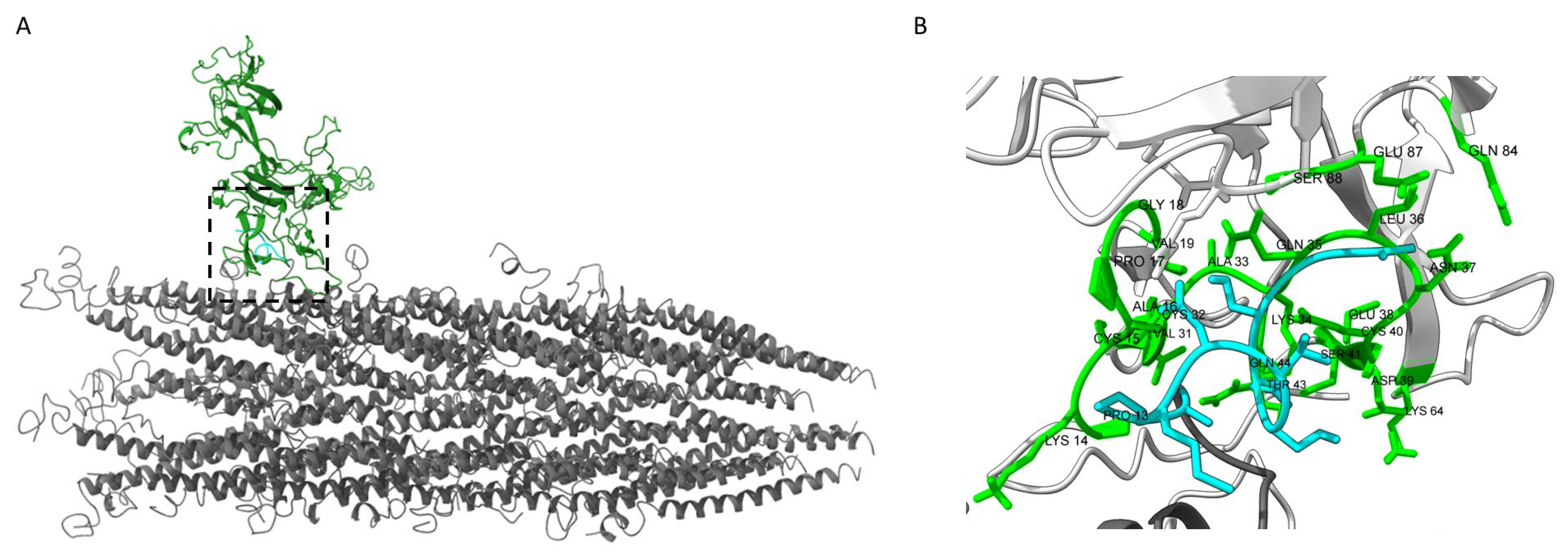 Viruses 17 01273 g005
