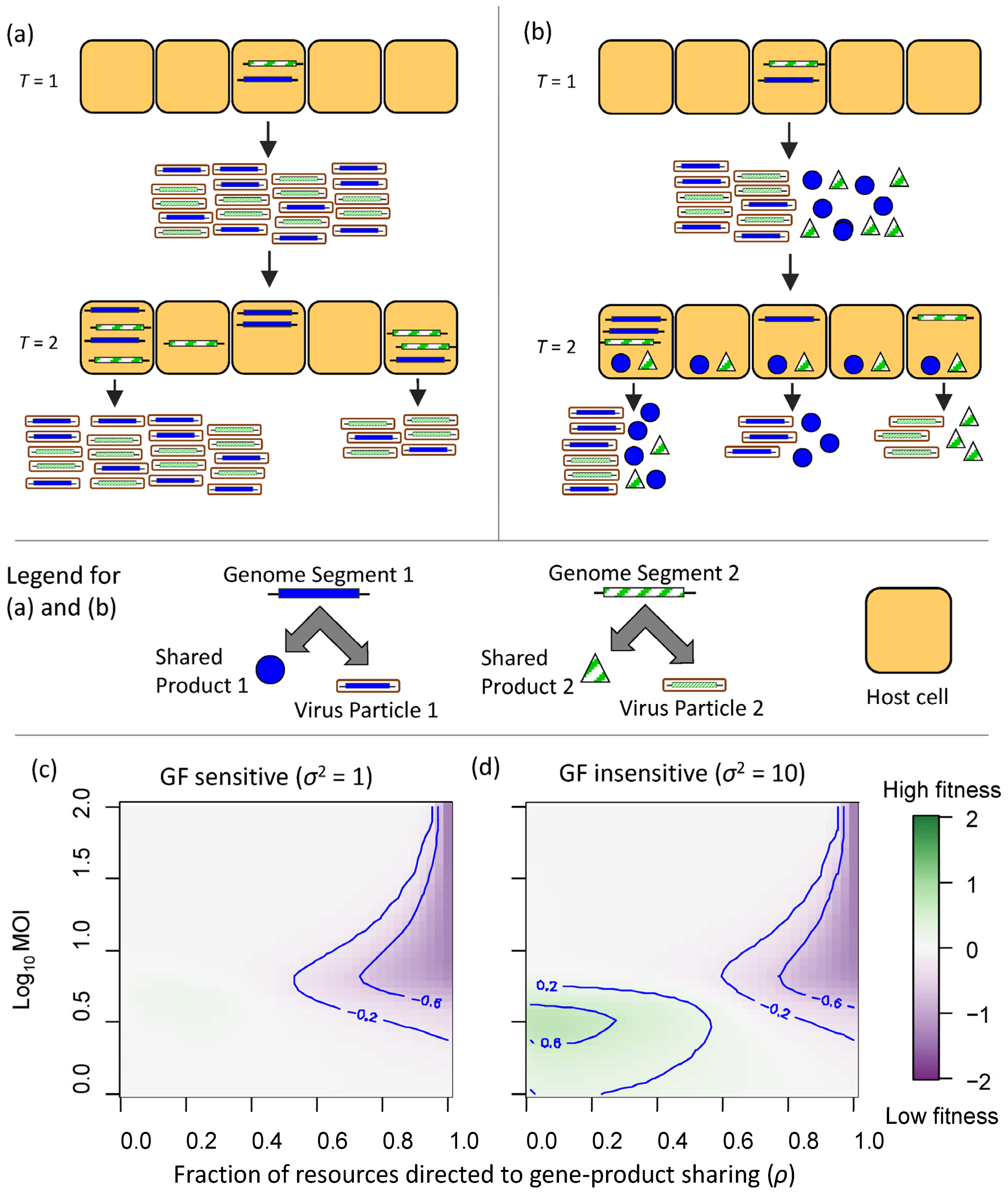 Viruses 17 01275 g003