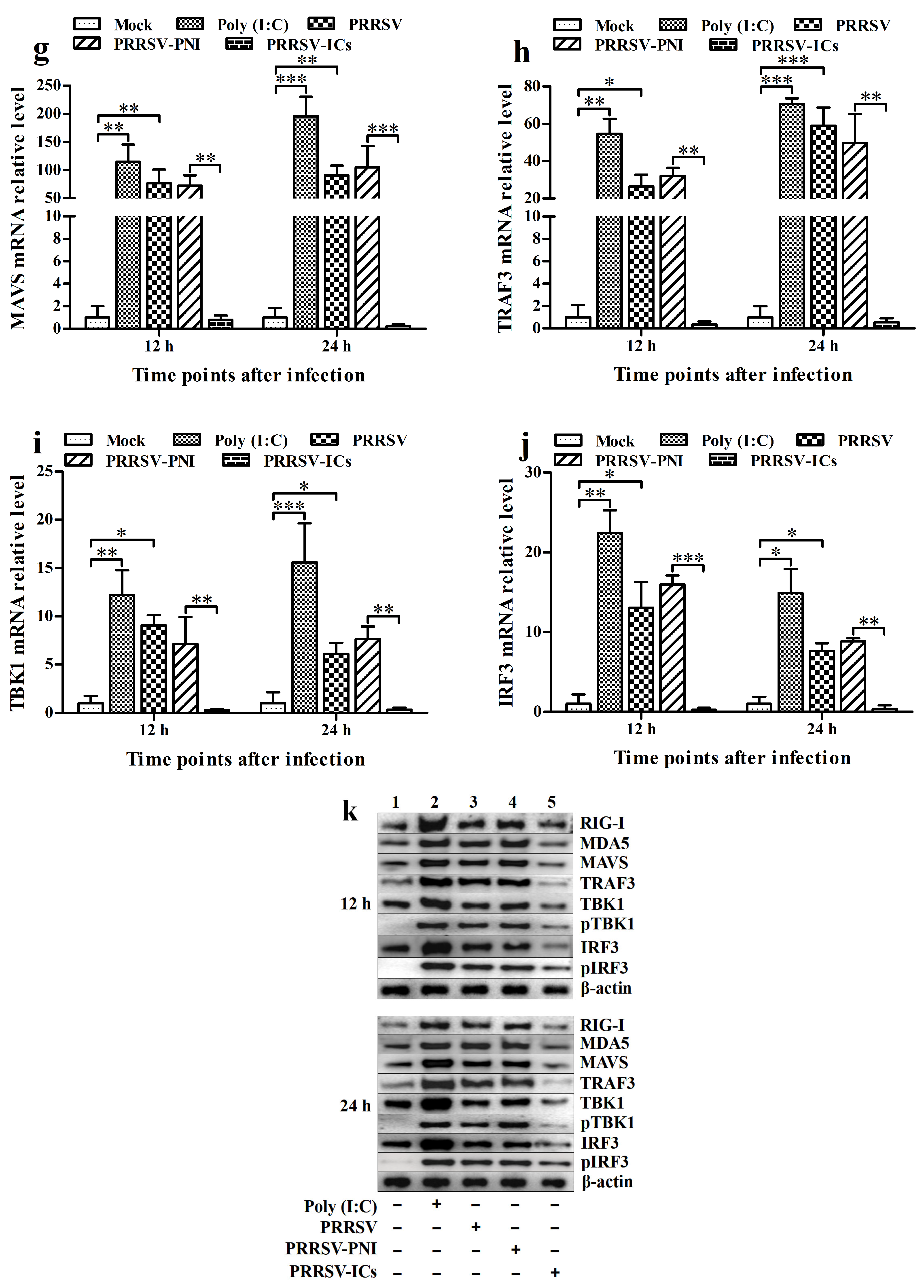 Viruses 17 01277 g002b