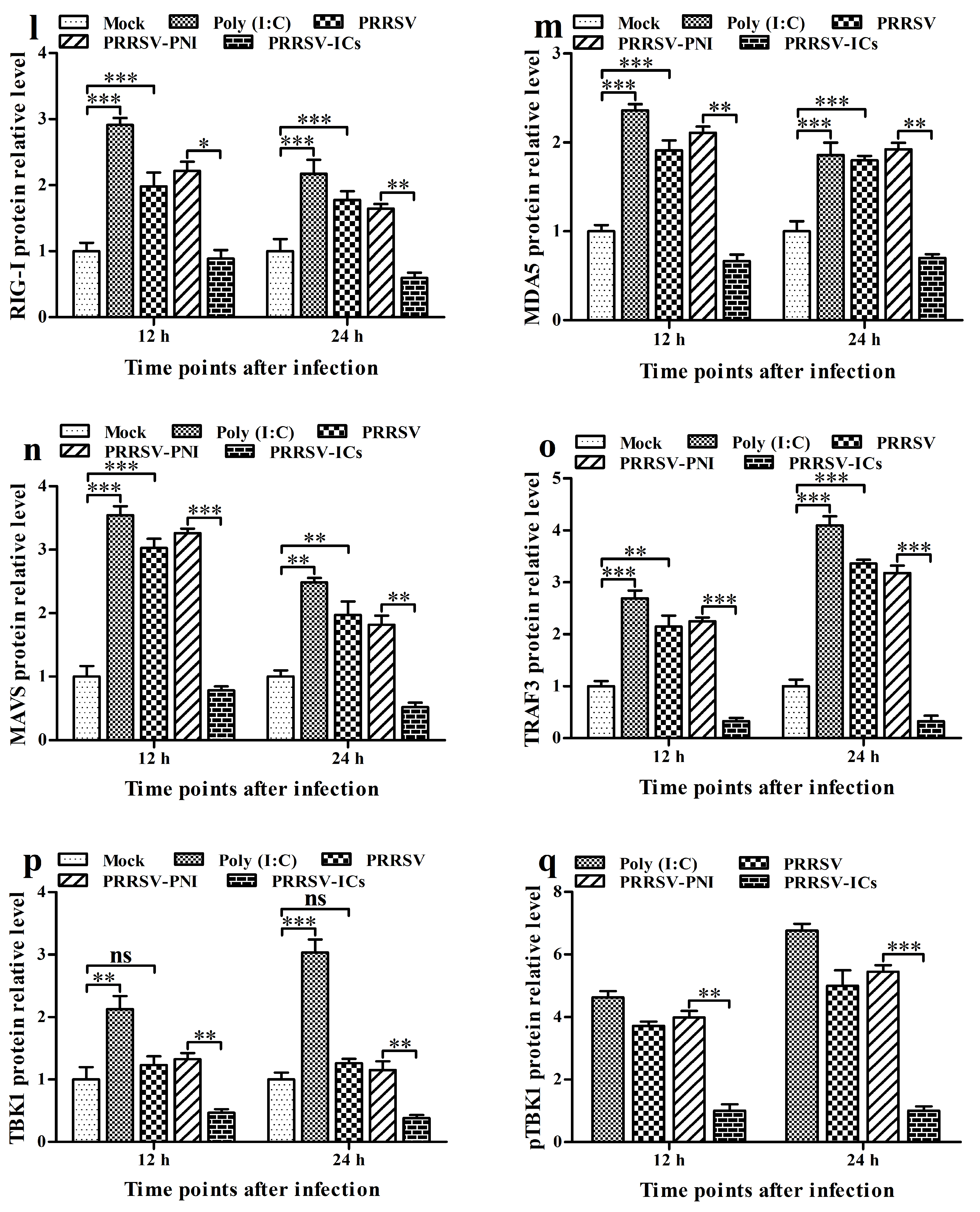 Viruses 17 01277 g002c
