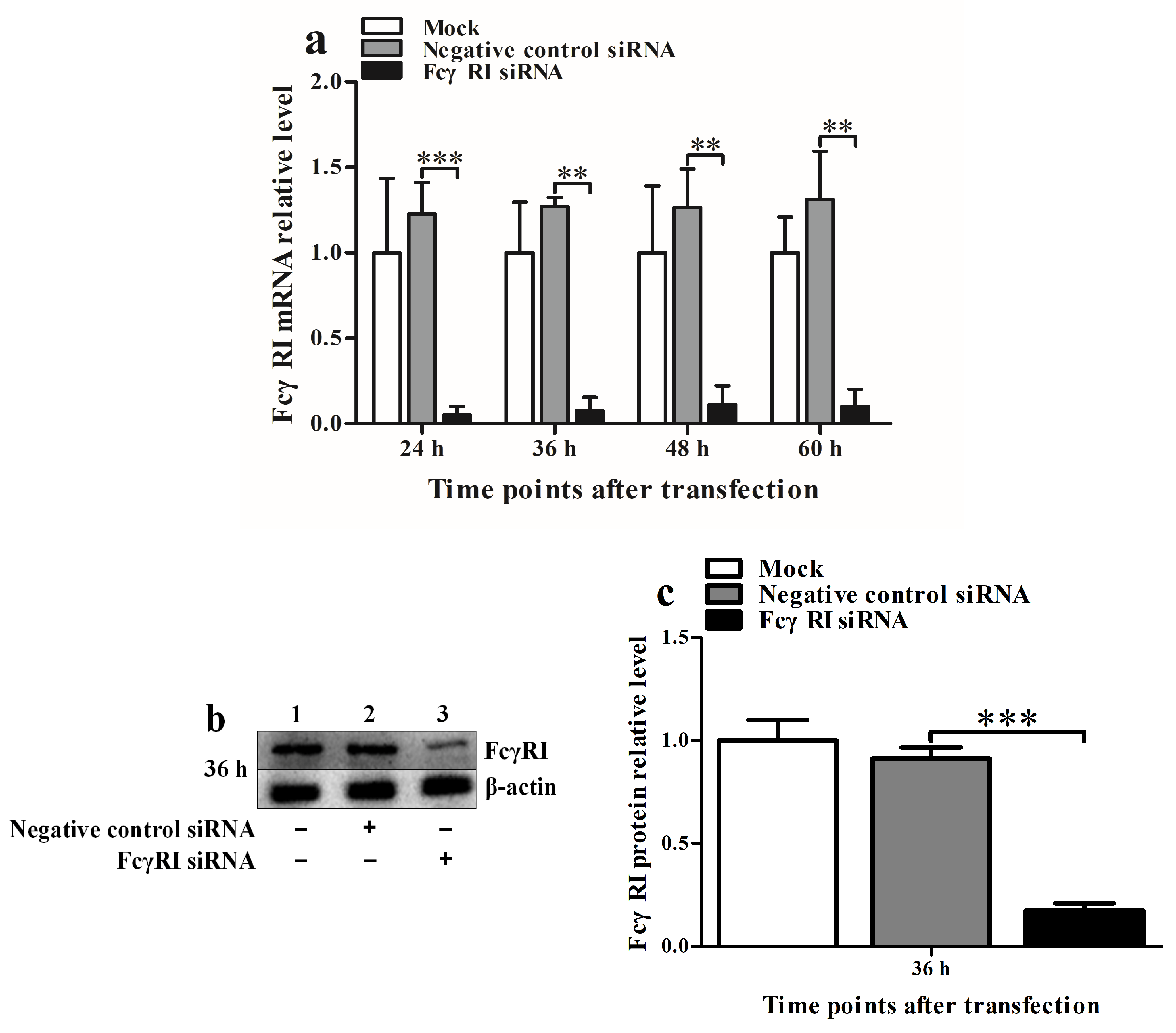 Viruses 17 01277 g003