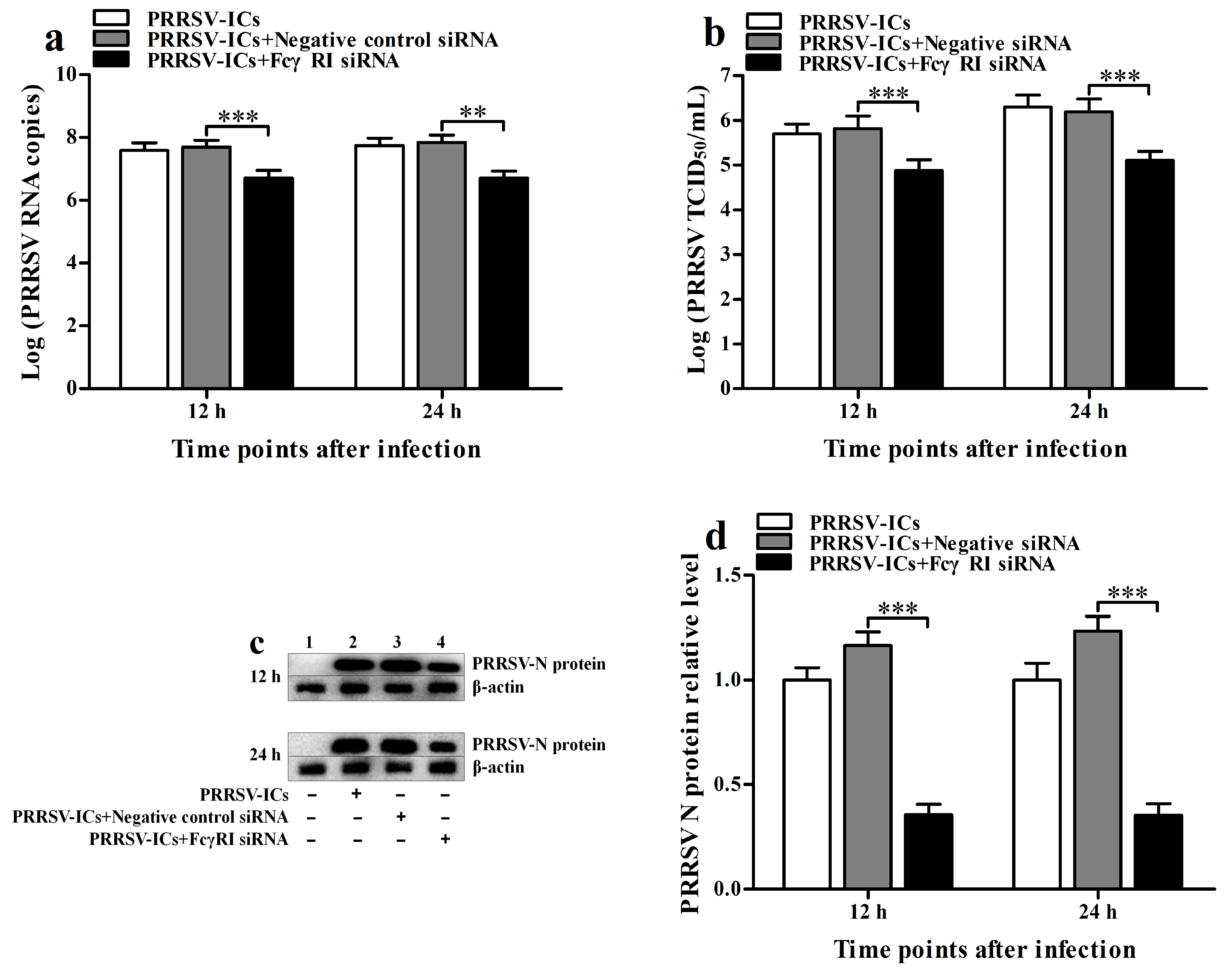 Viruses 17 01277 g004