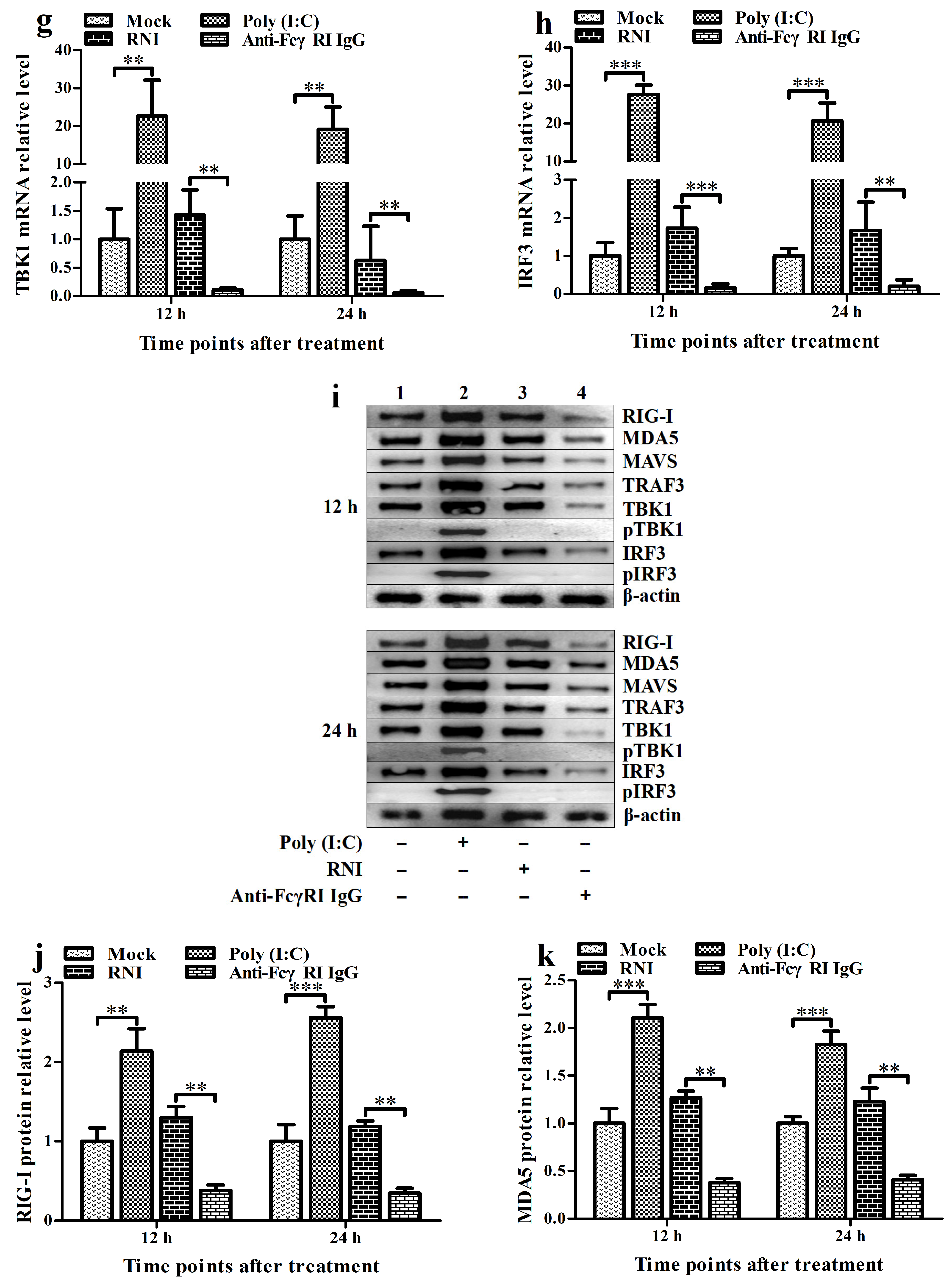 Viruses 17 01277 g005b