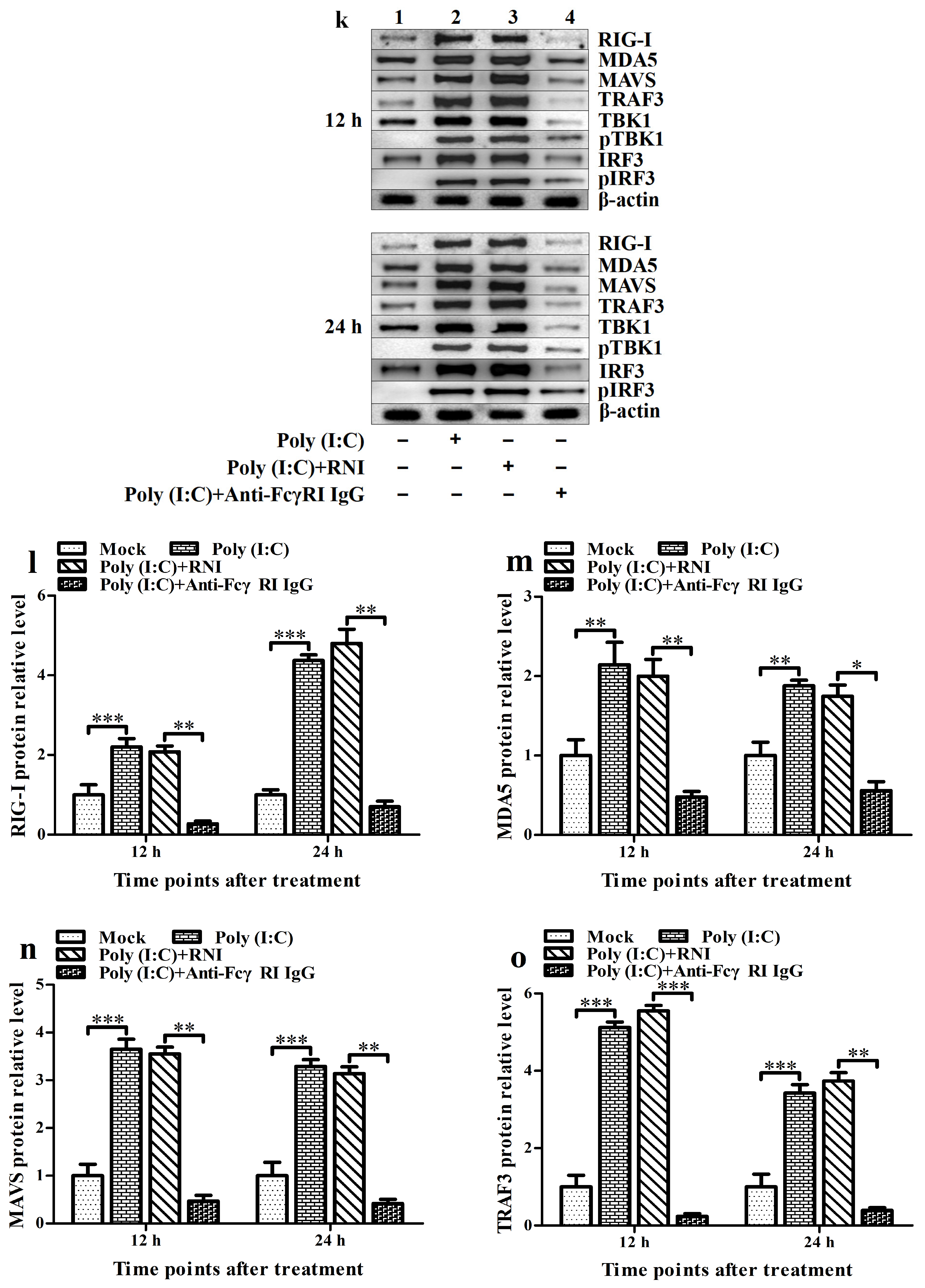Viruses 17 01277 g006c