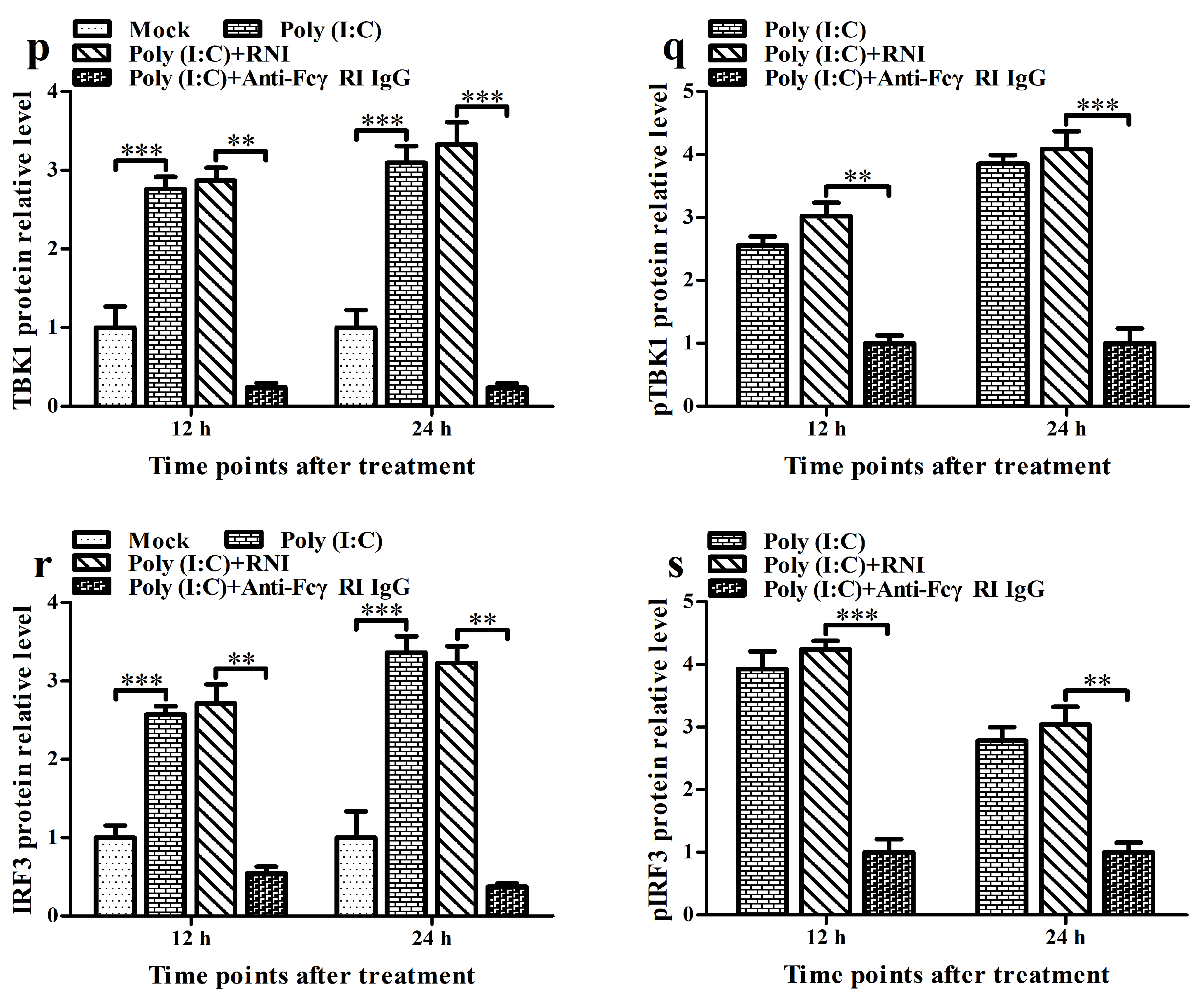 Viruses 17 01277 g006d