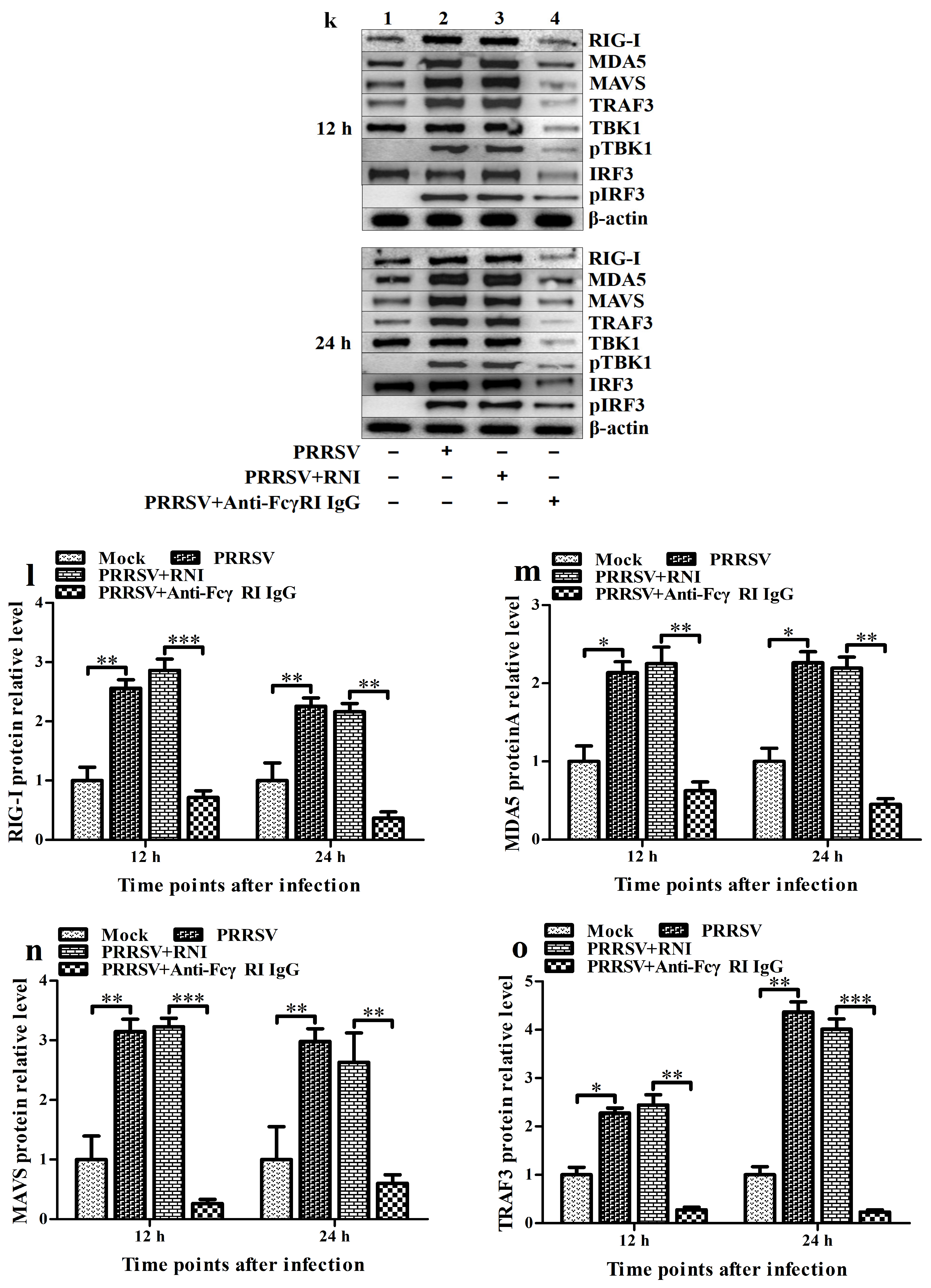 Viruses 17 01277 g007c