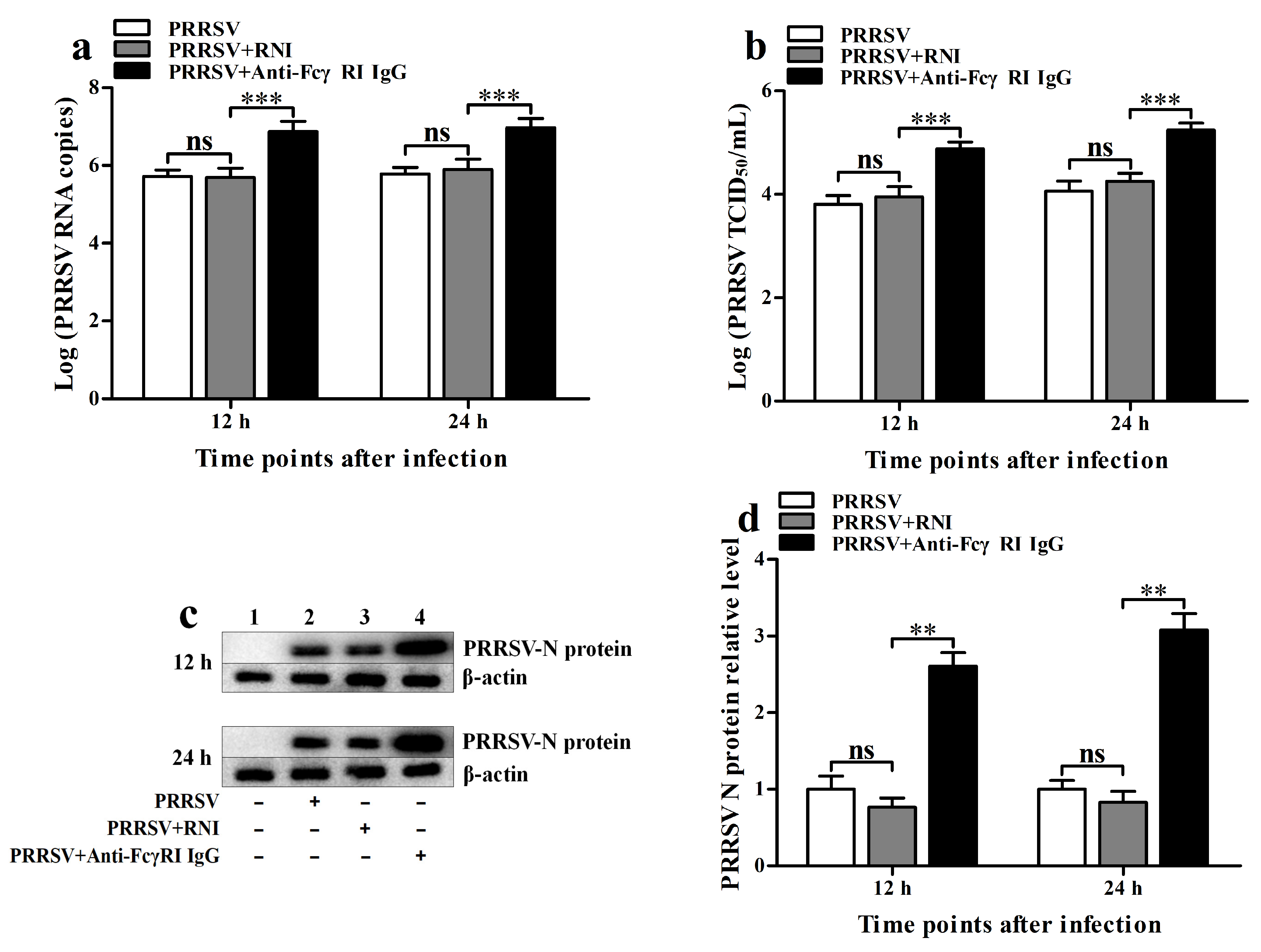 Viruses 17 01277 g008