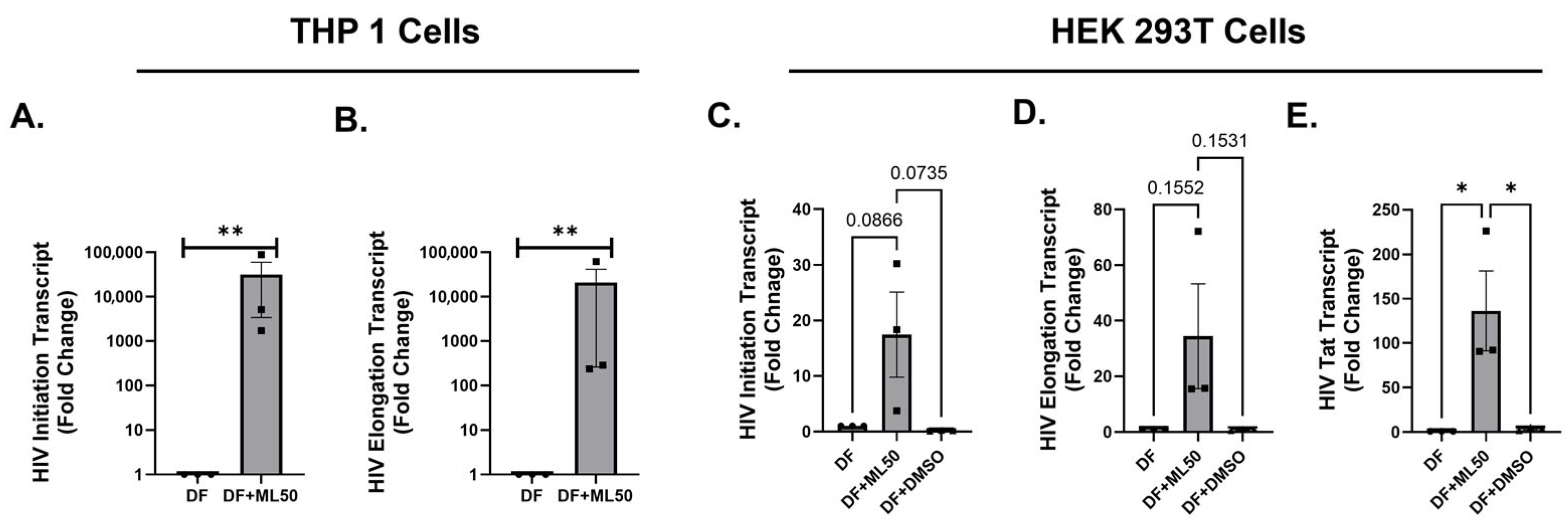 Viruses 17 01278 g003