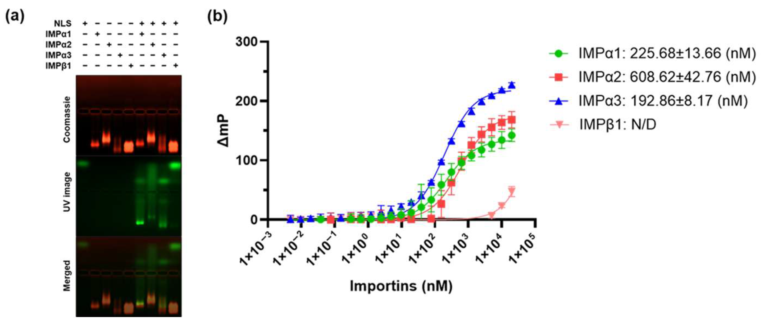 Viruses 17 01279 g001 Viruses 17 01279 g001