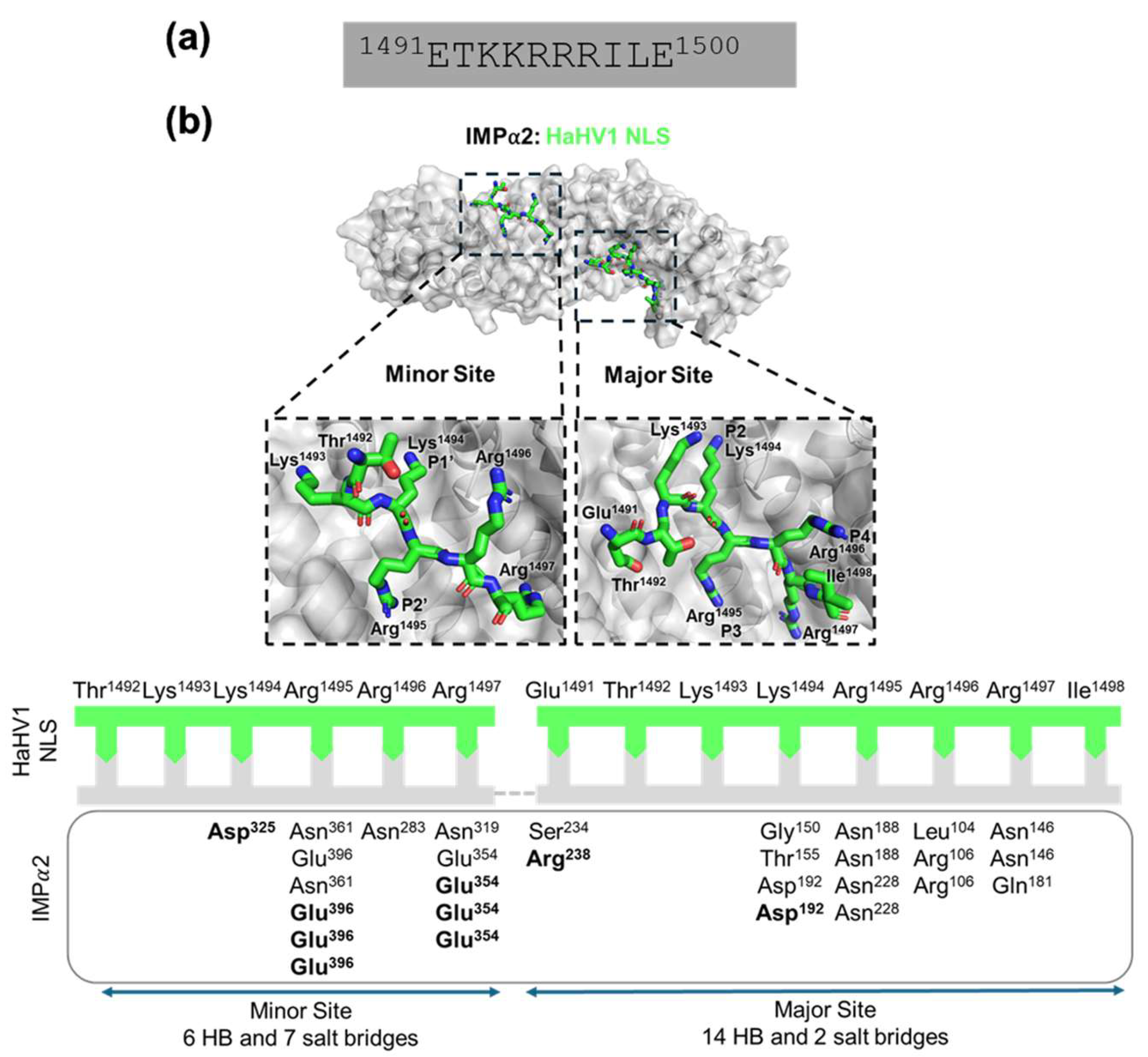 Viruses 17 01279 g002 Viruses 17 01279 g002
