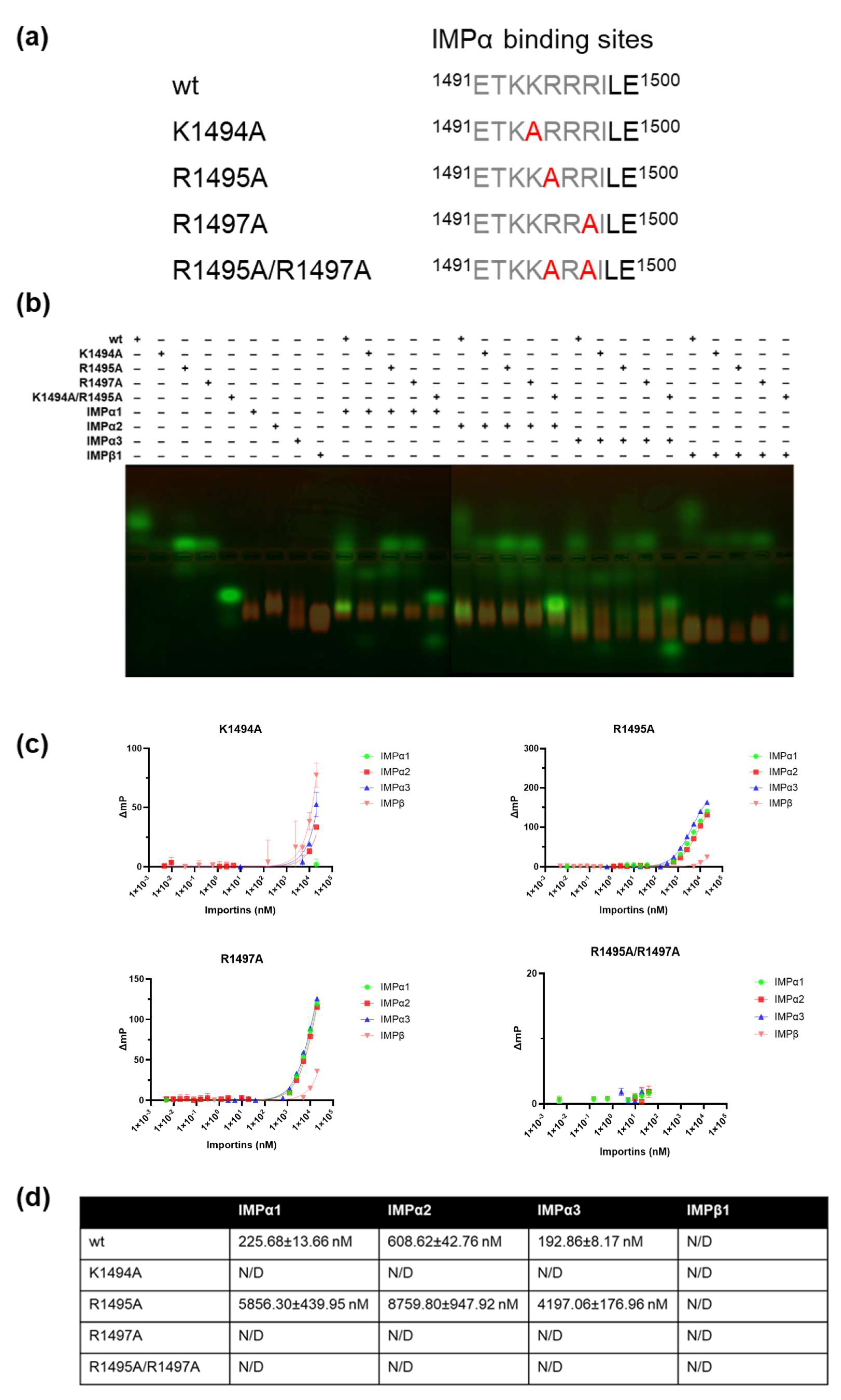 Viruses 17 01279 g003 Viruses 17 01279 g003
