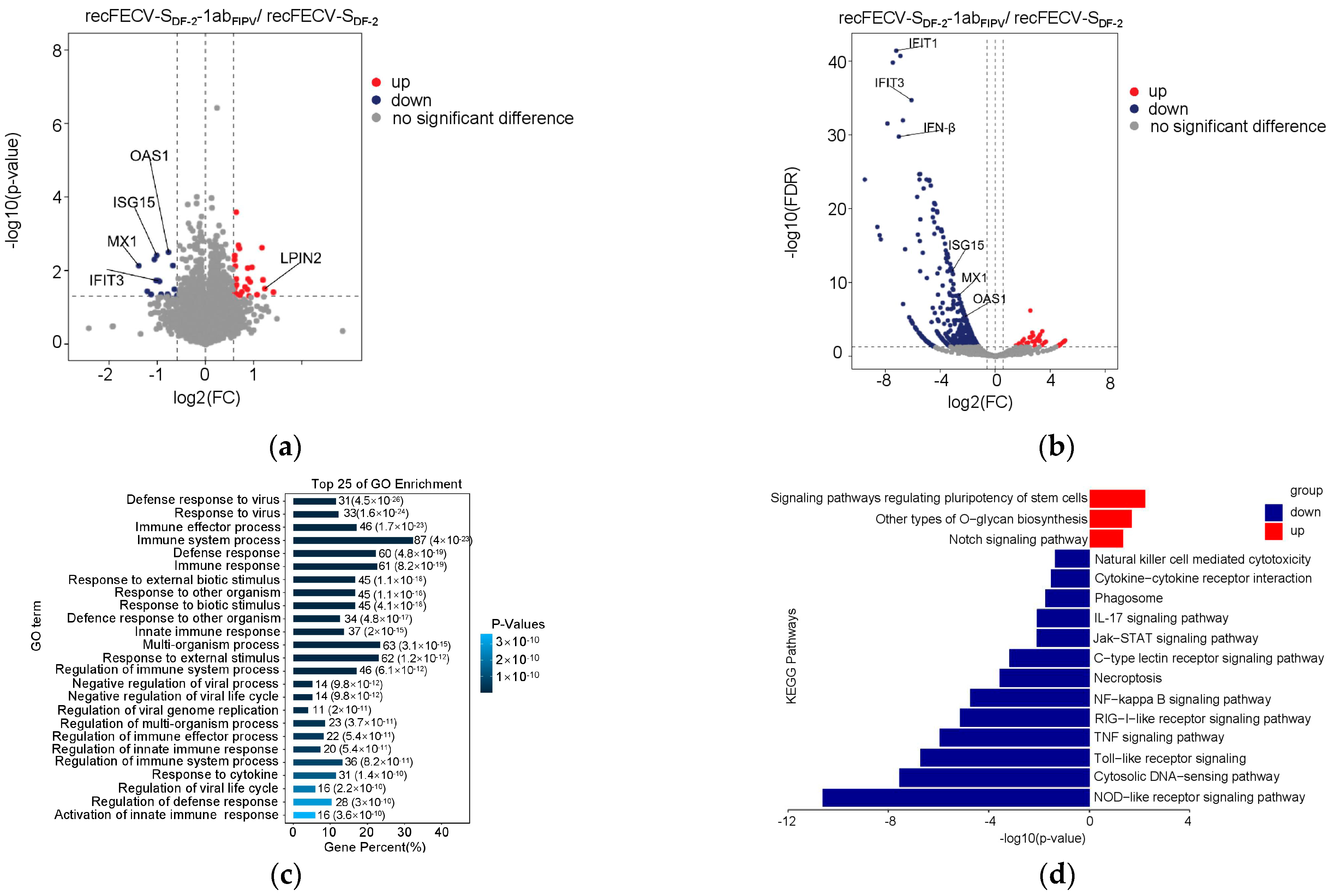 Viruses 17 01282 g004 Viruses 17 01282 g004