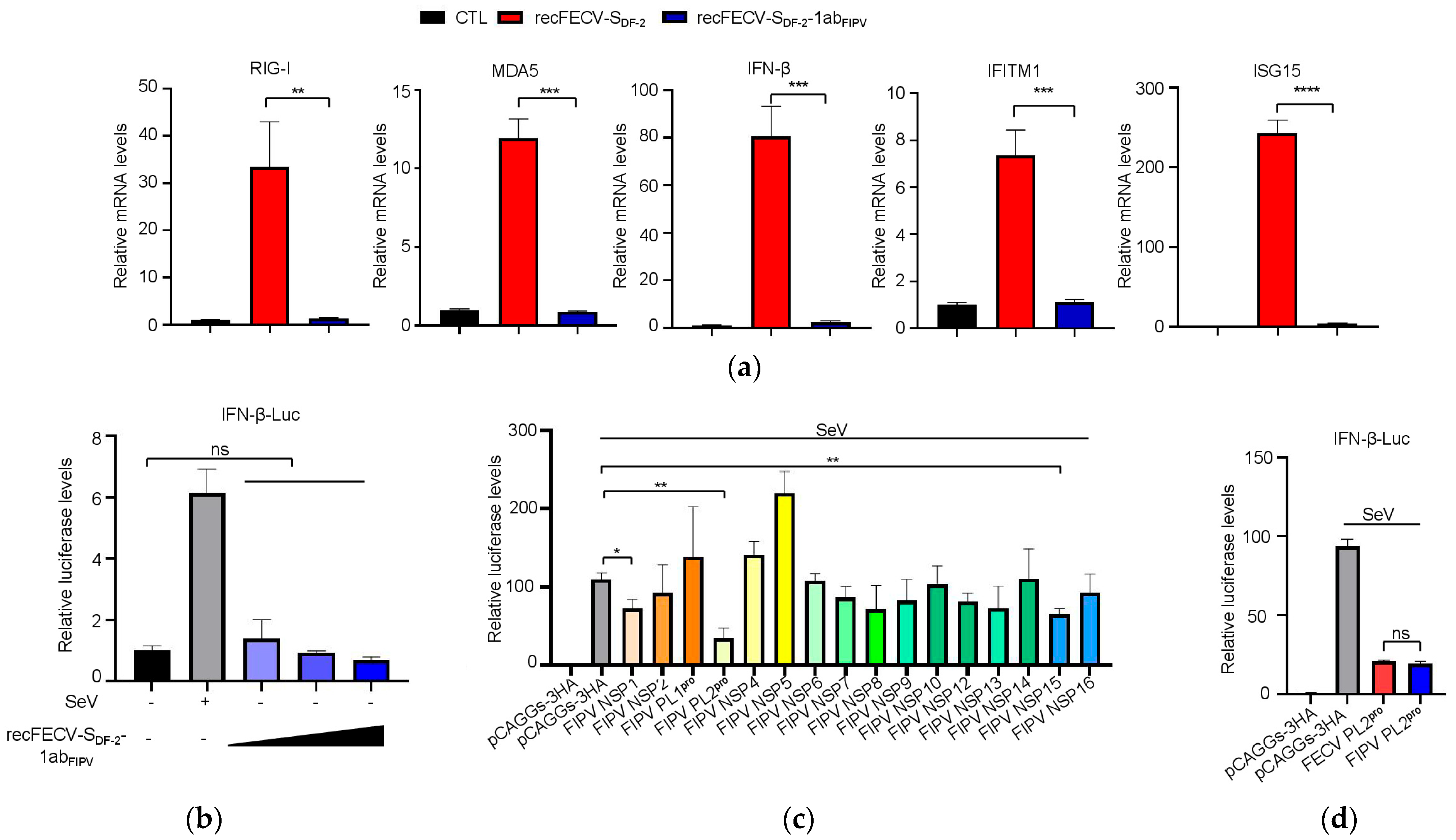 Viruses 17 01282 g005 Viruses 17 01282 g005