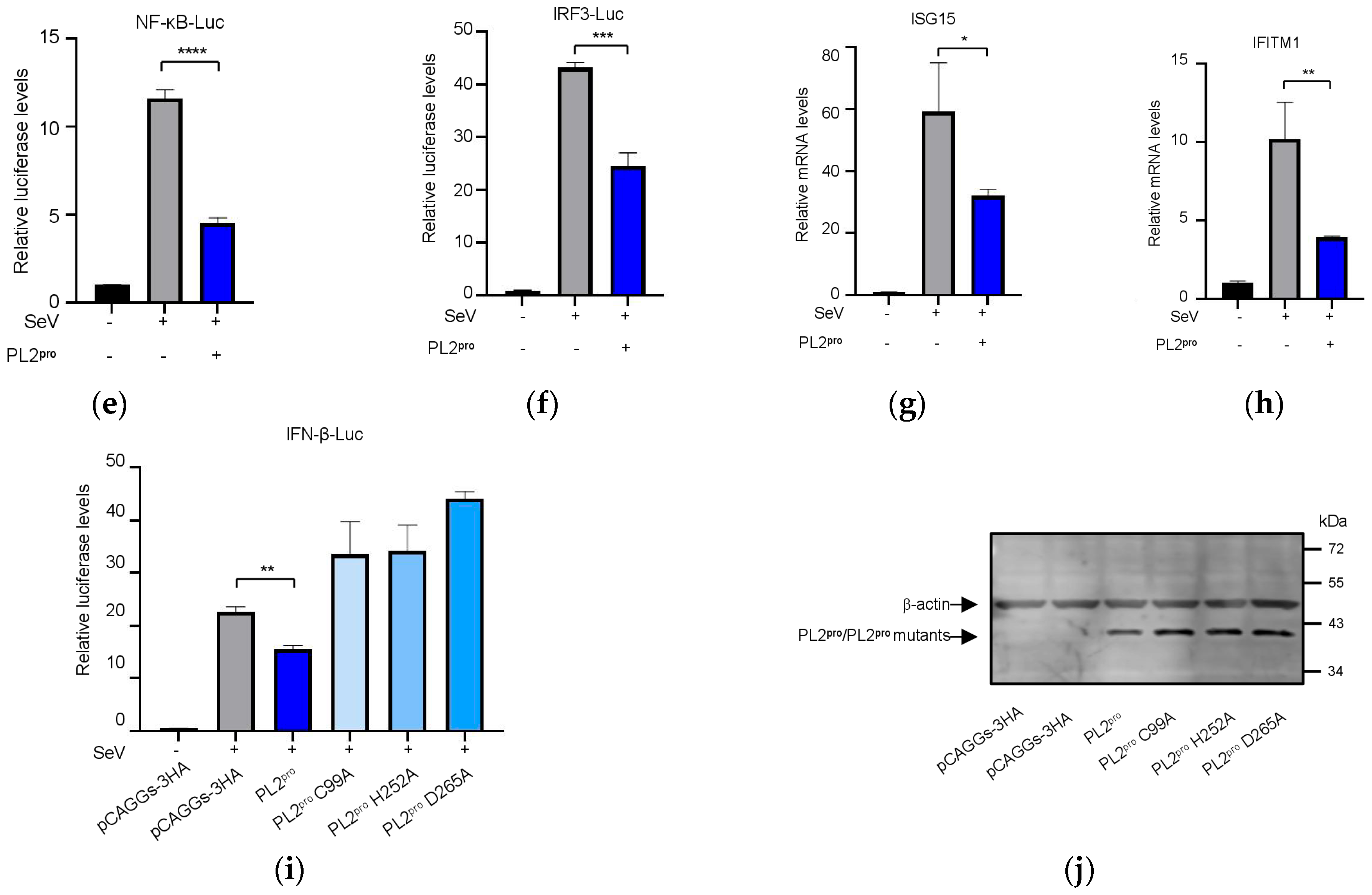 Viruses 17 01282 g006b Viruses 17 01282 g006b